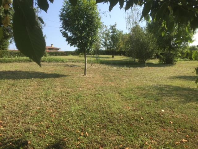 casa in campagna _LORI view 5
