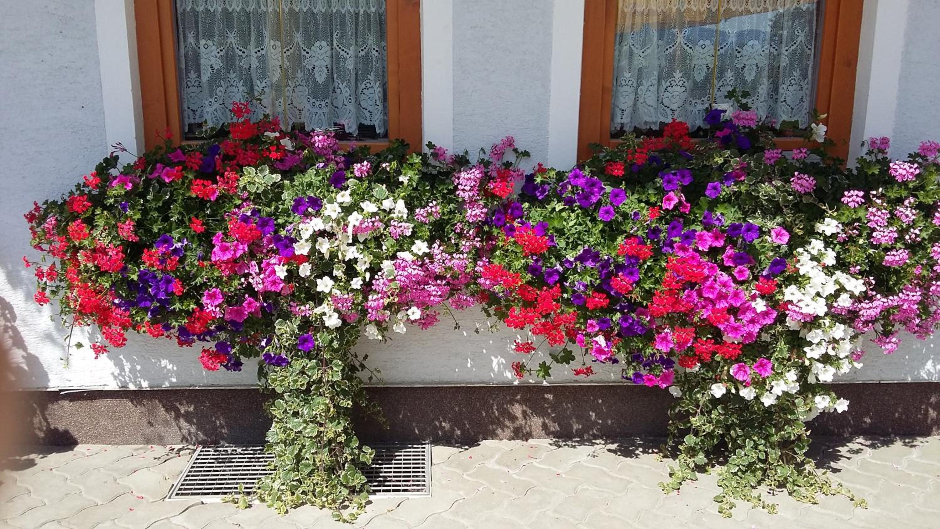 Haus Edlinger
