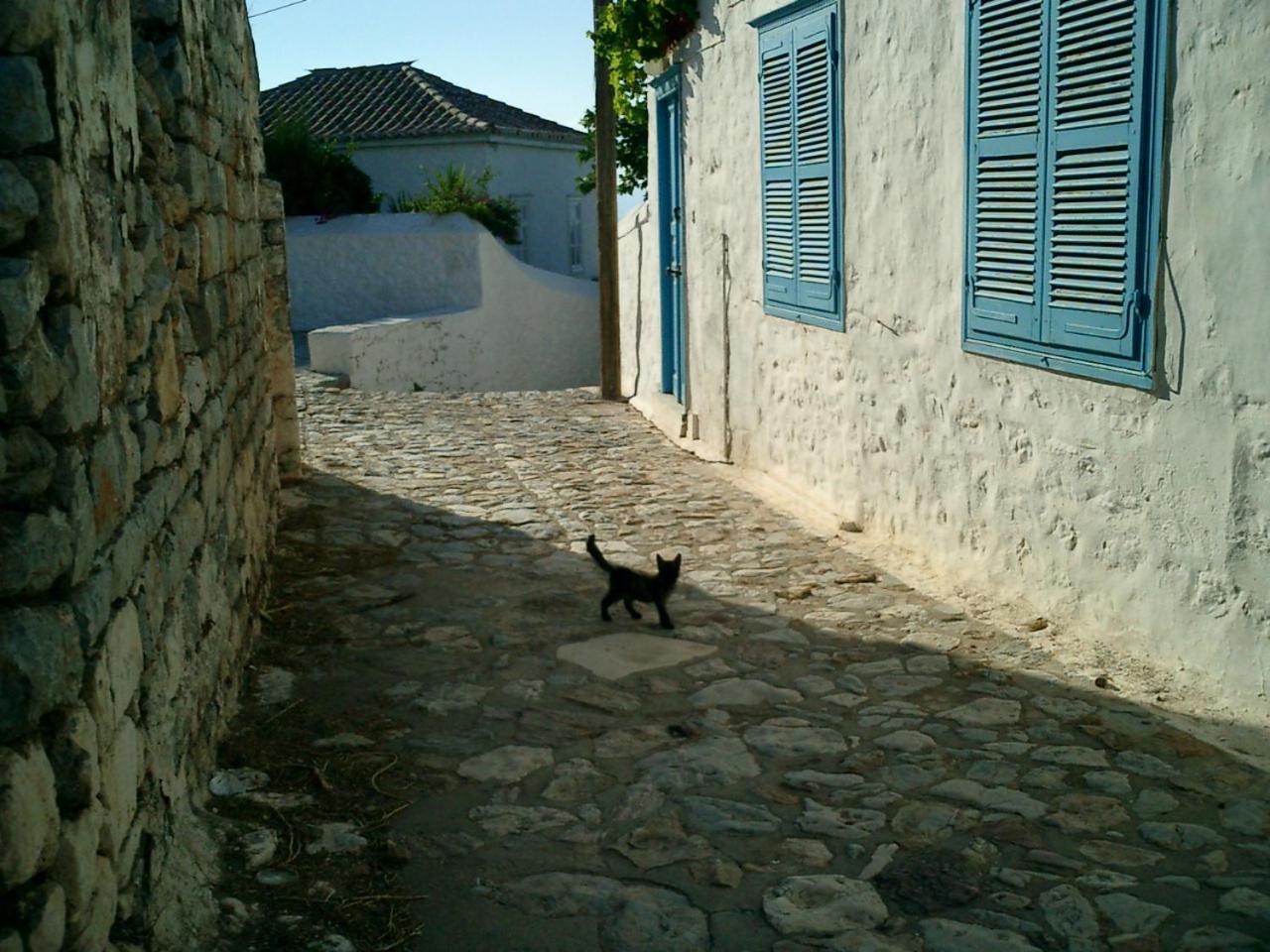 Photo 47