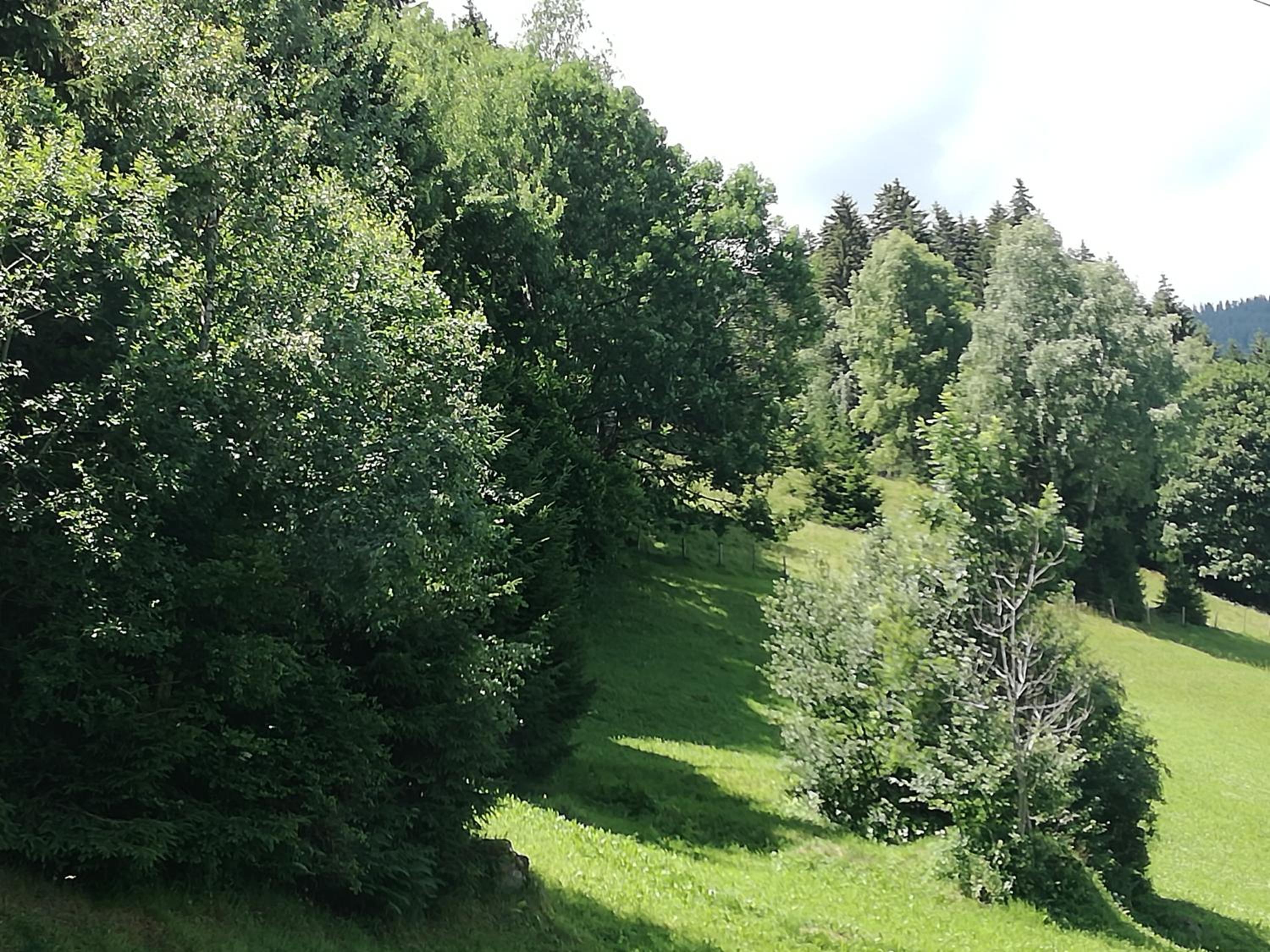 Apart Tiefenbach
