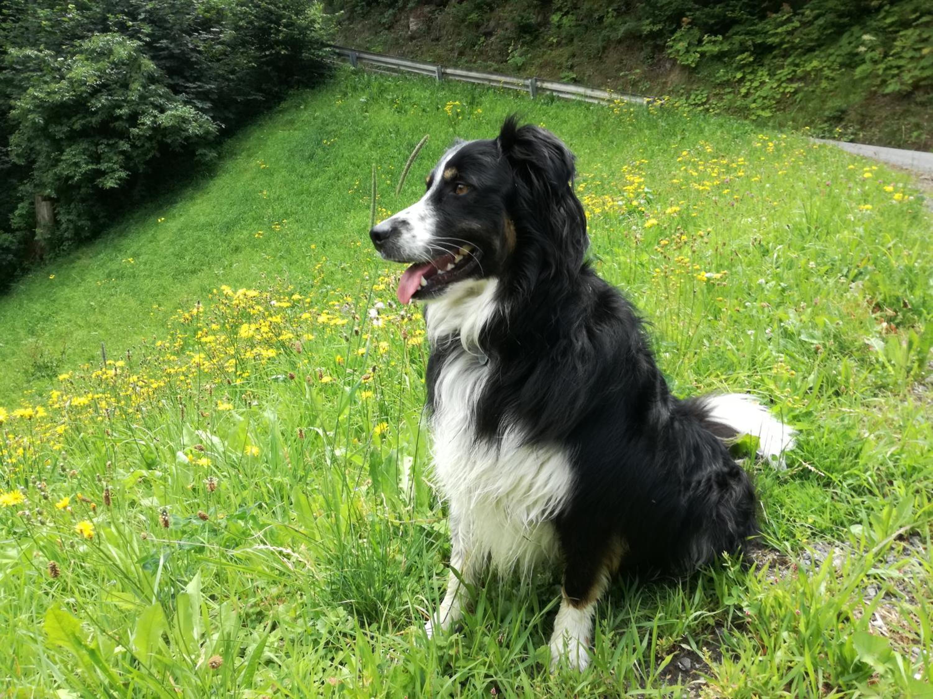 Apart Tiefenbach