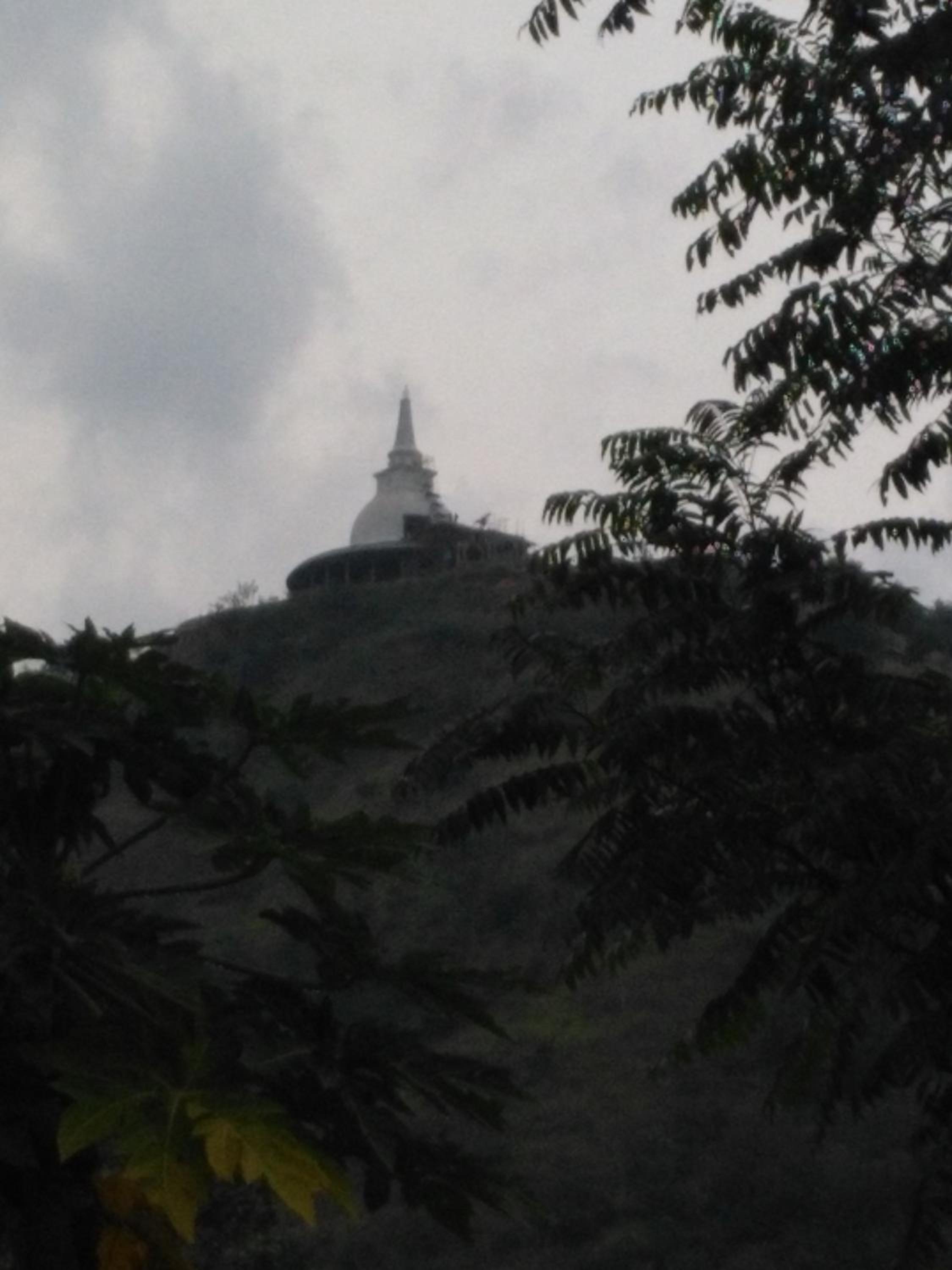 Viyanga Homestay