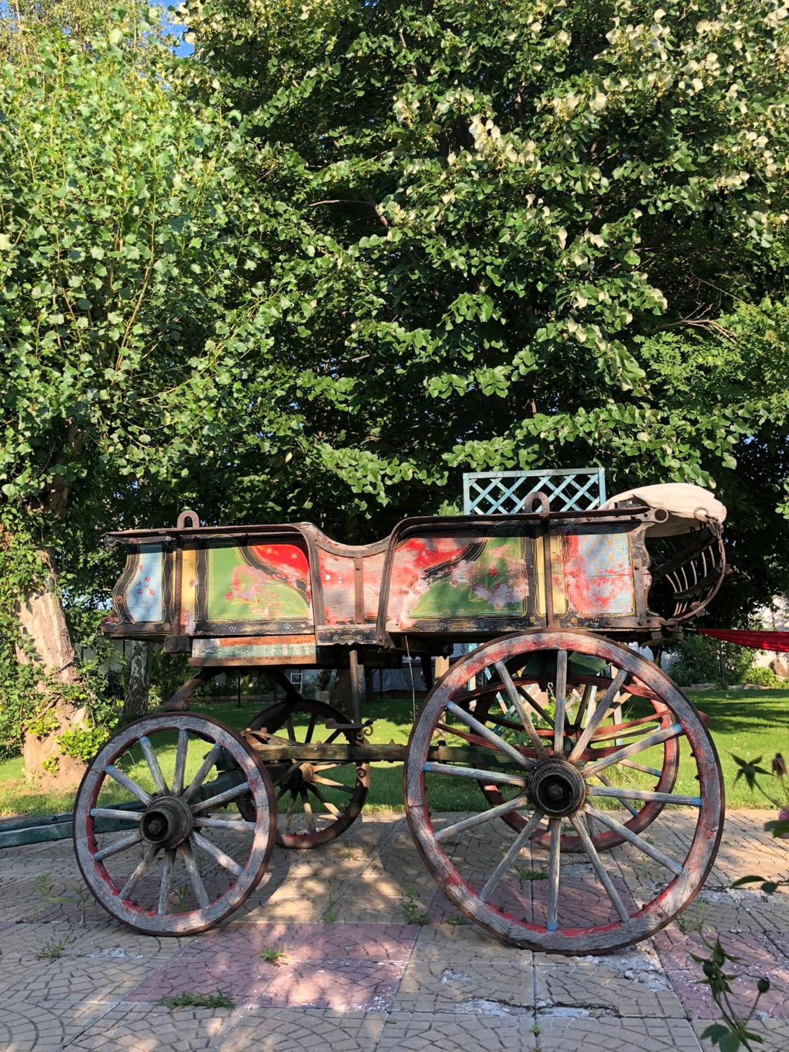 Galeria In The Garden