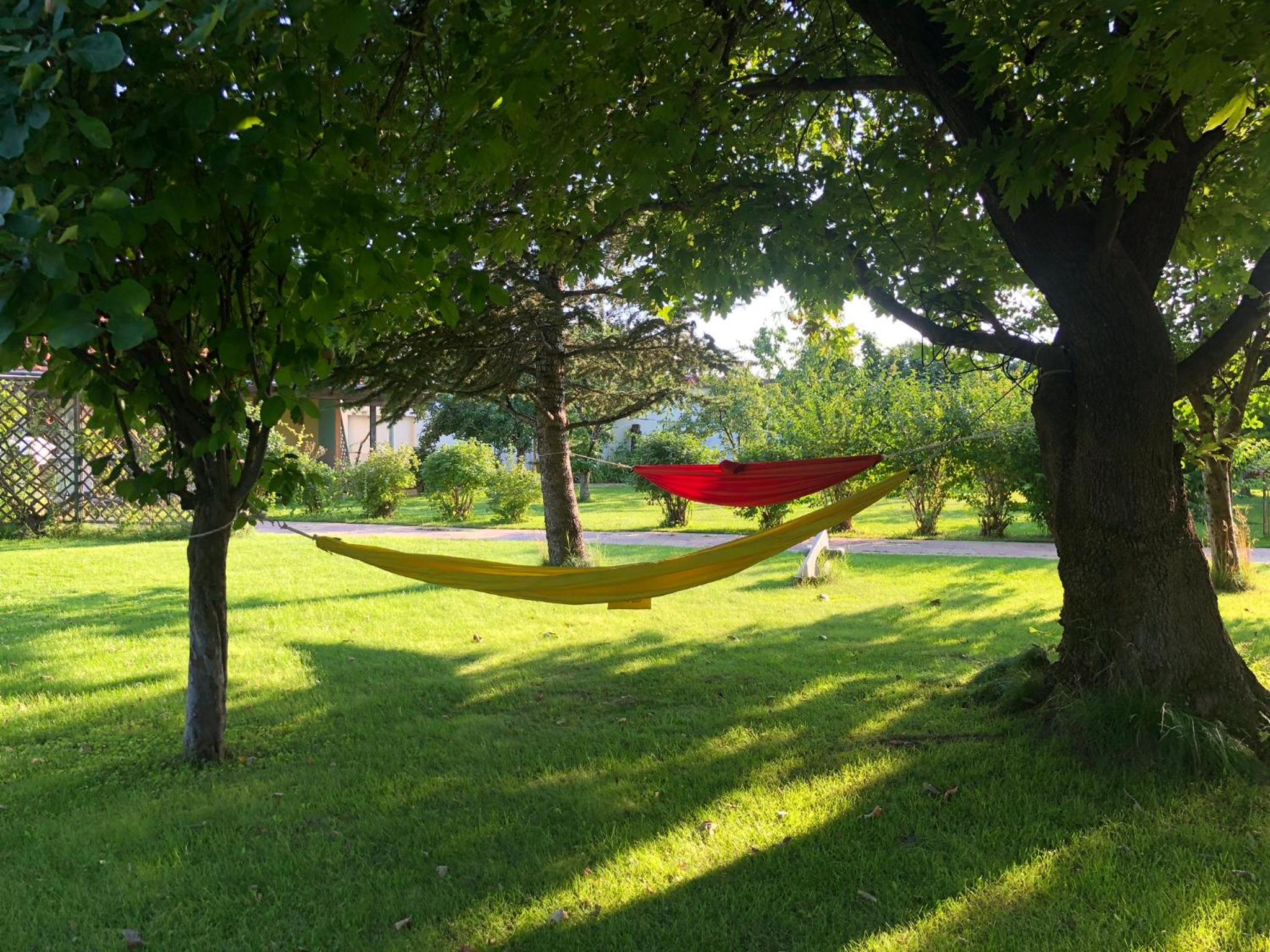 Galeria In The Garden