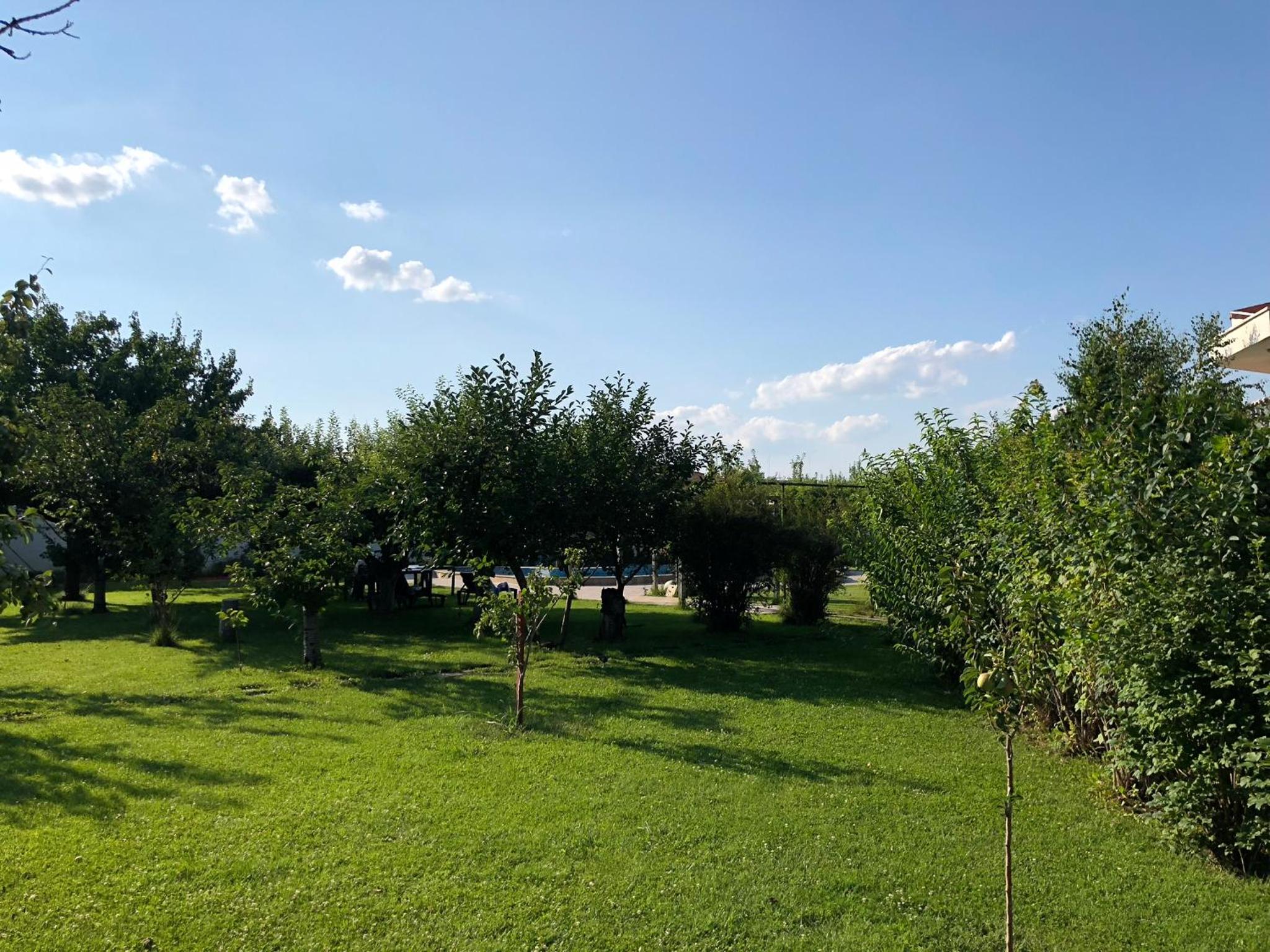 Galeria In The Garden