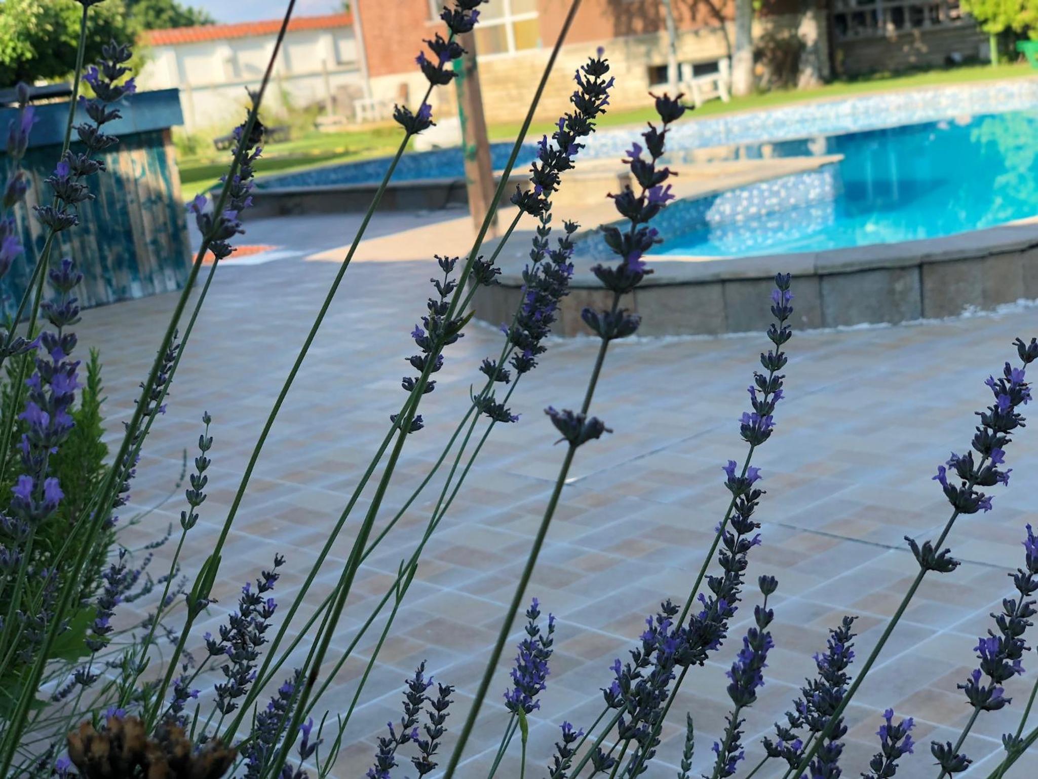 Galeria In The Garden