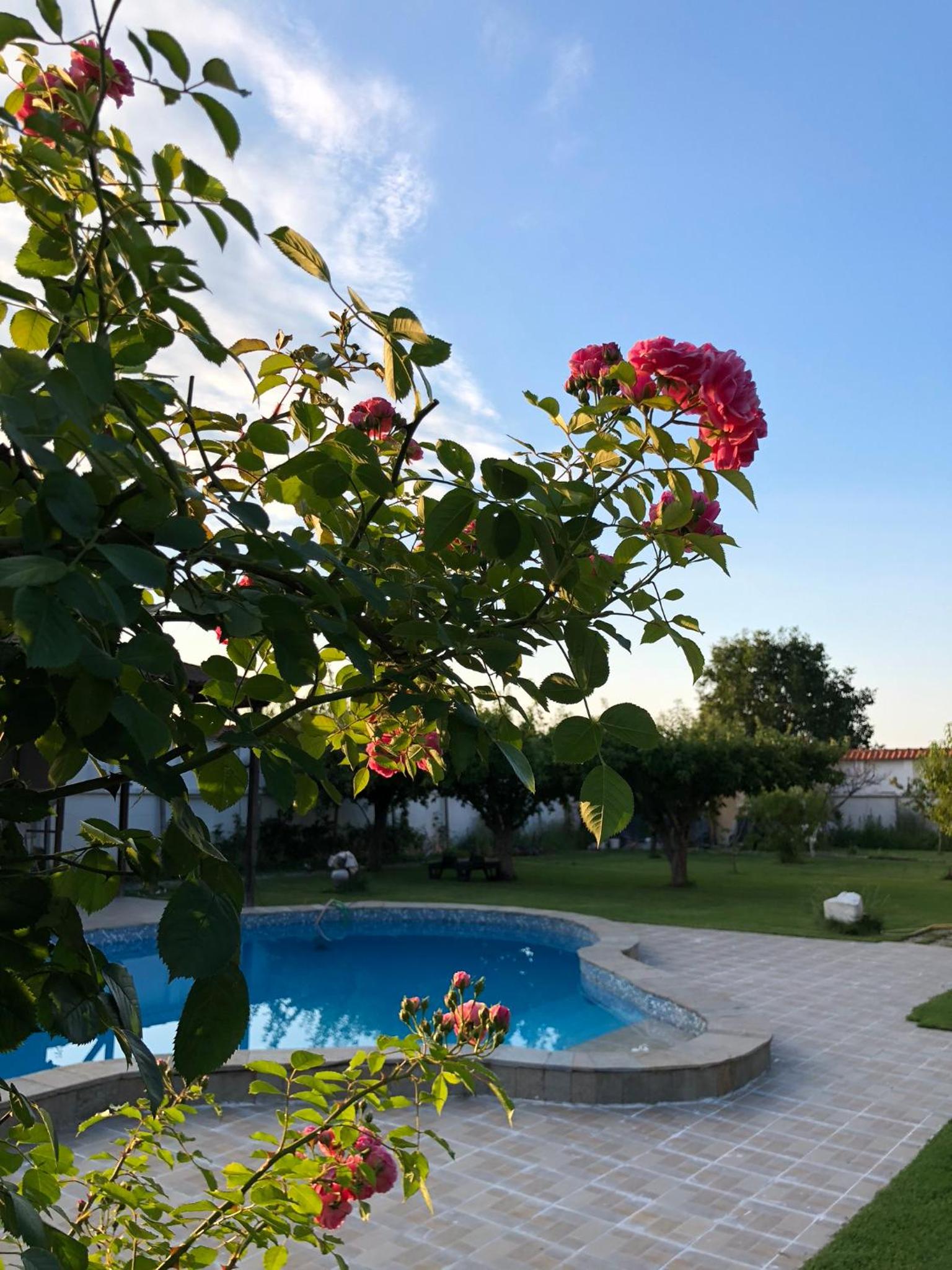 Galeria In The Garden