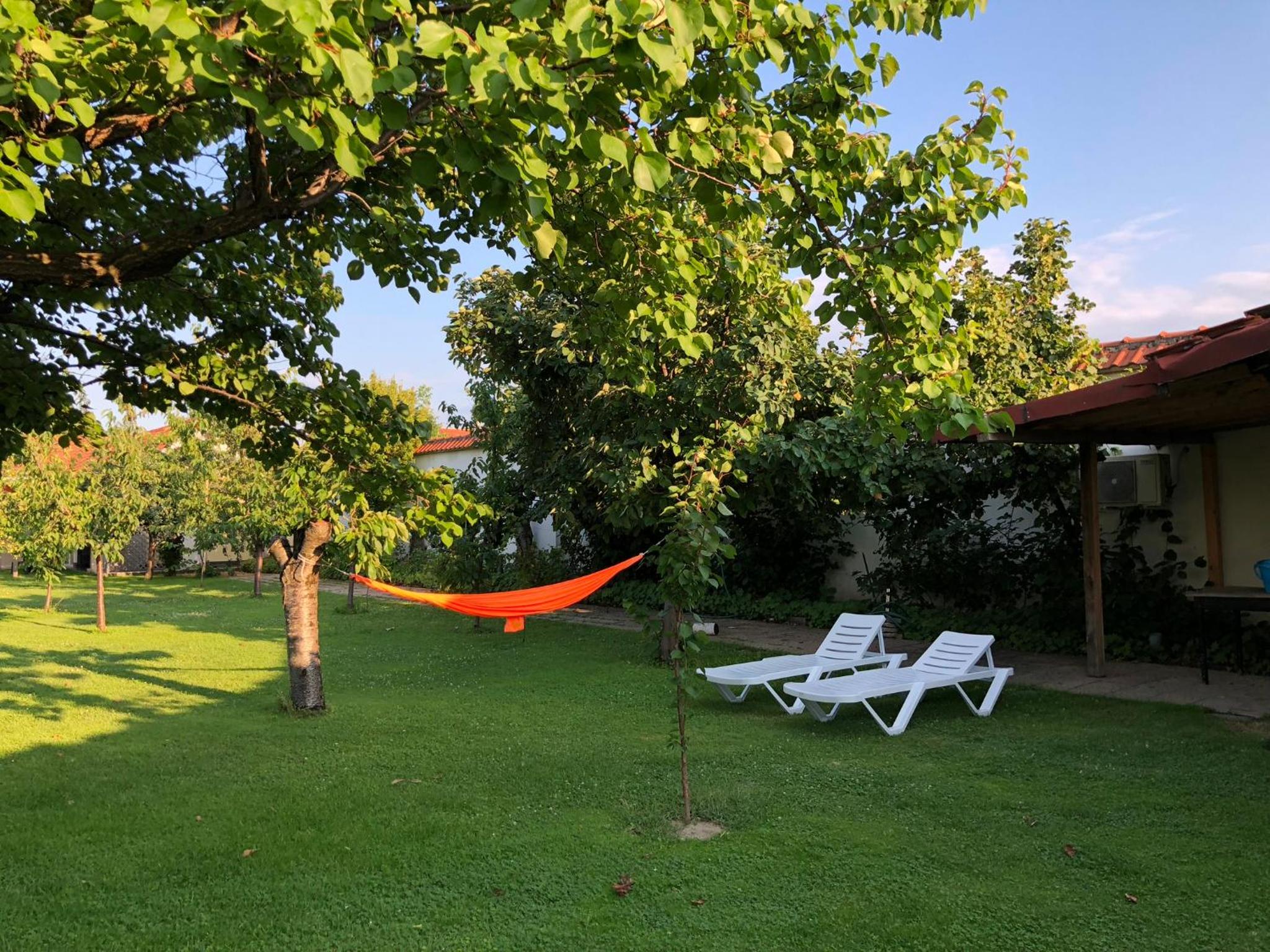 Galeria In The Garden