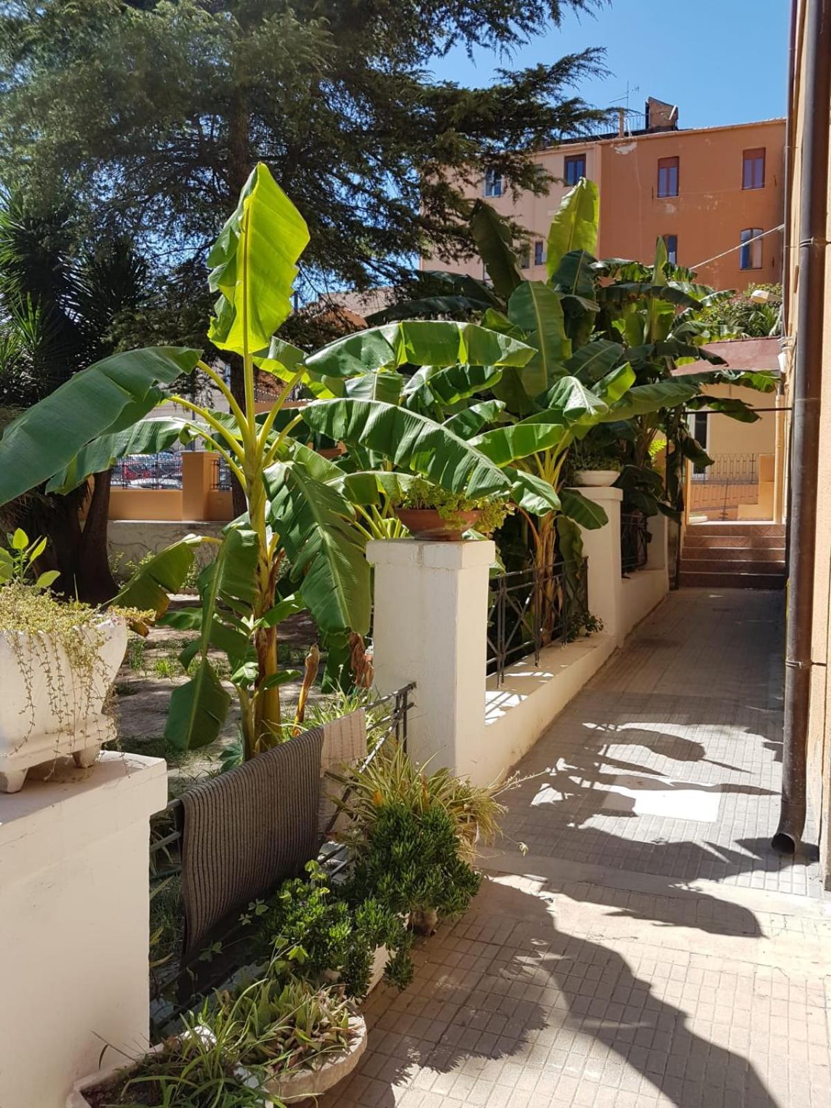 Casa dei Talenti view 4