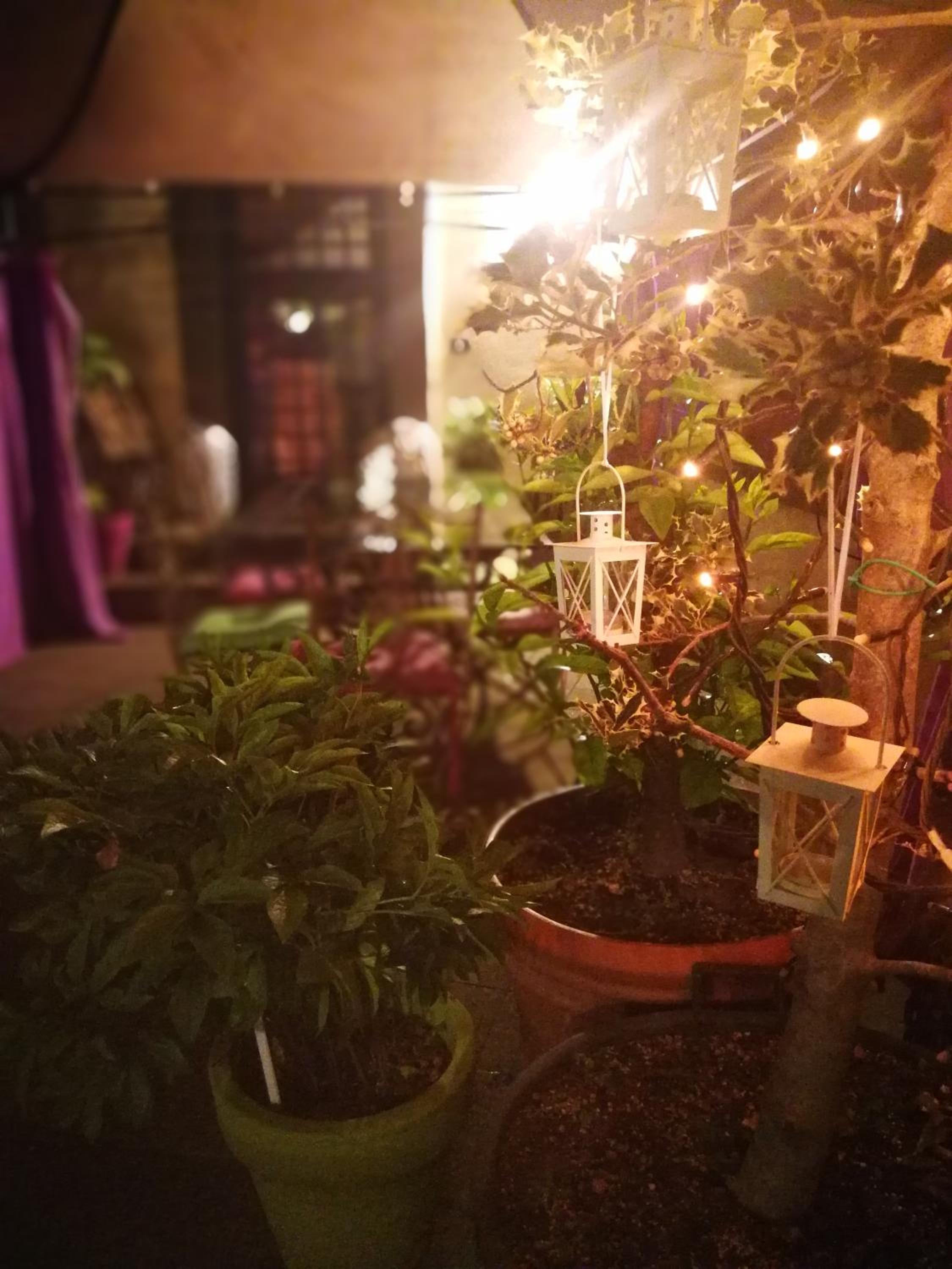 B&B La Porticella photo 3