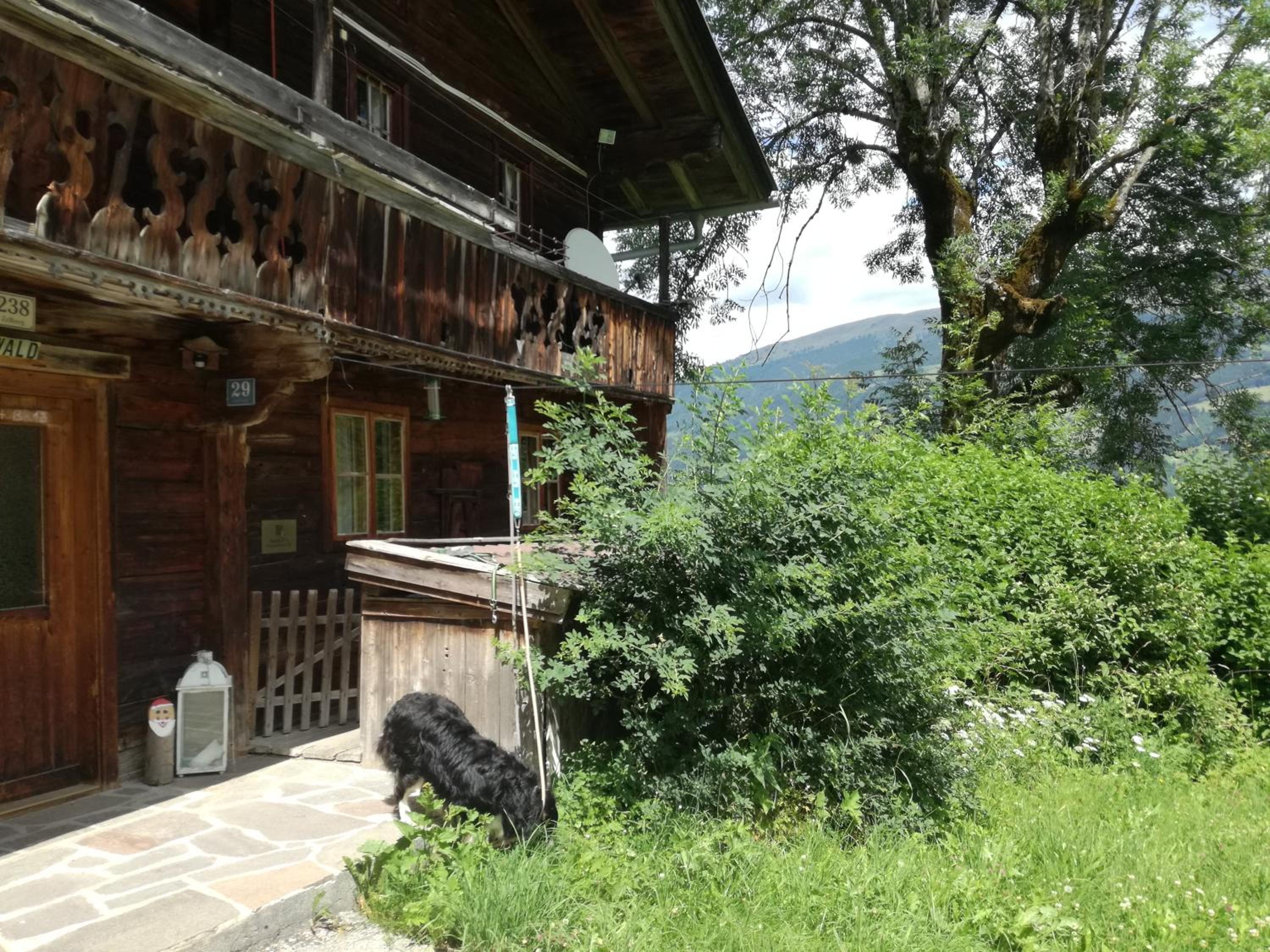 Apart Tiefenbach