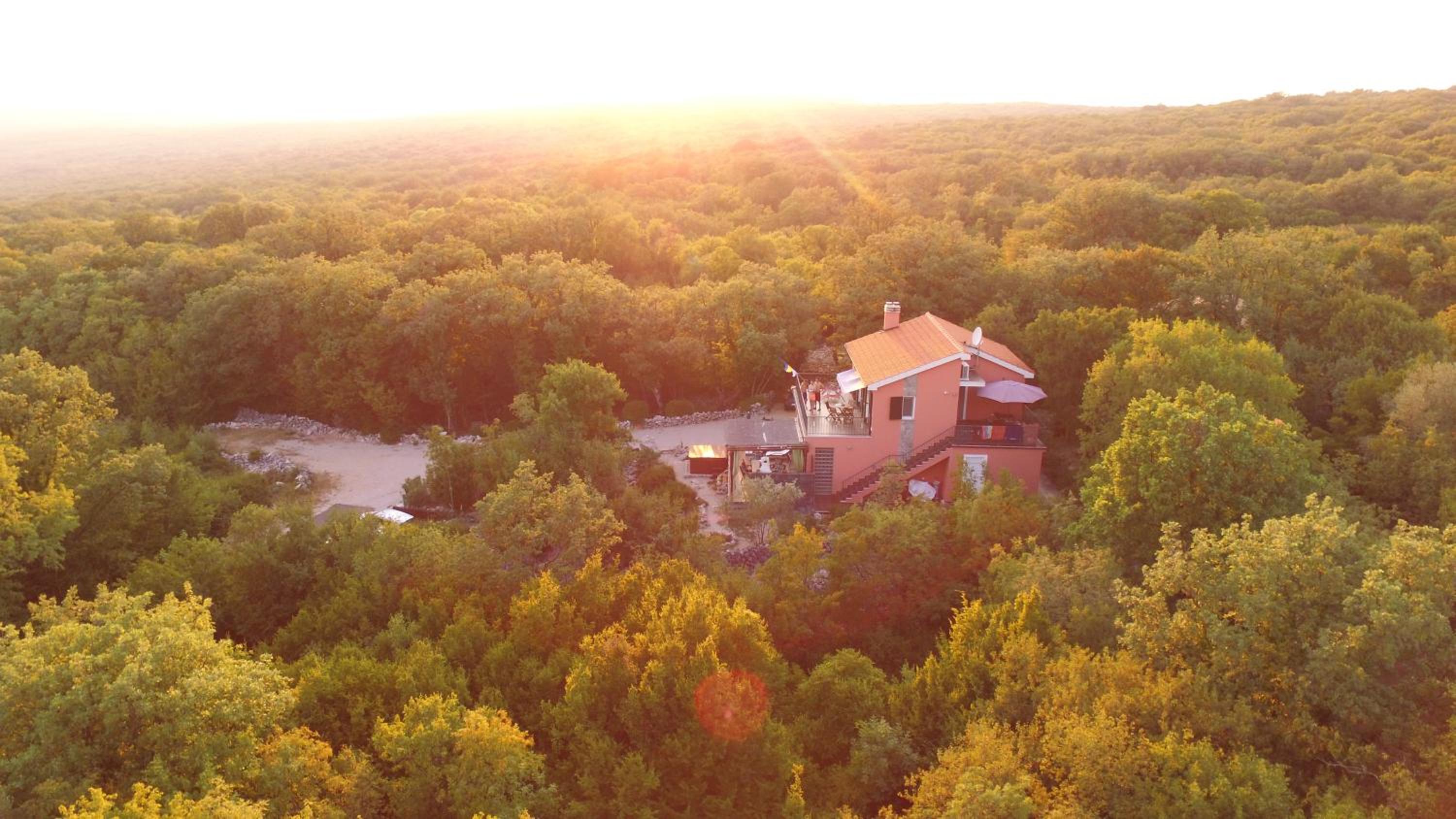 The Forest House Krk 1