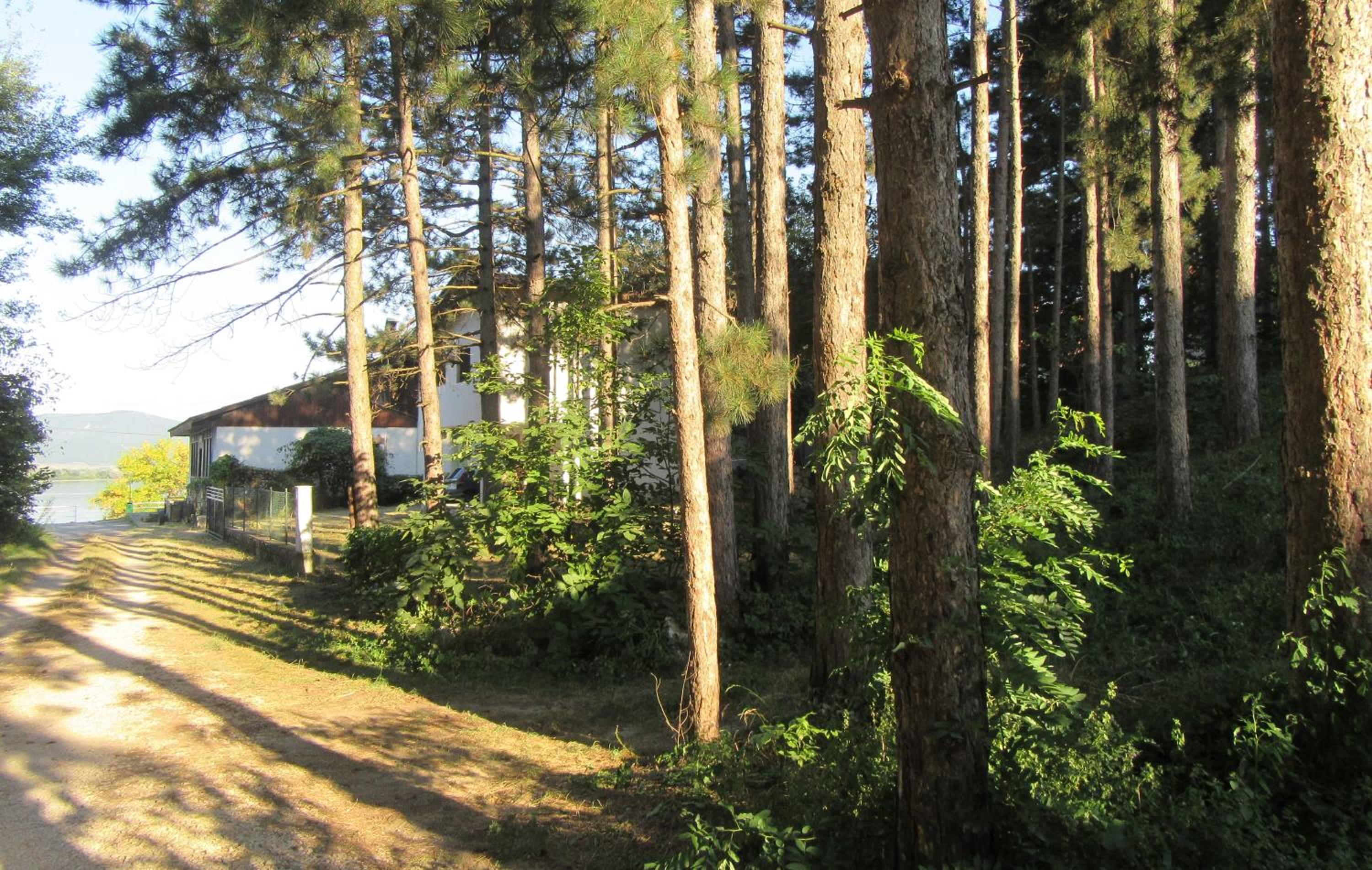 Photo 7