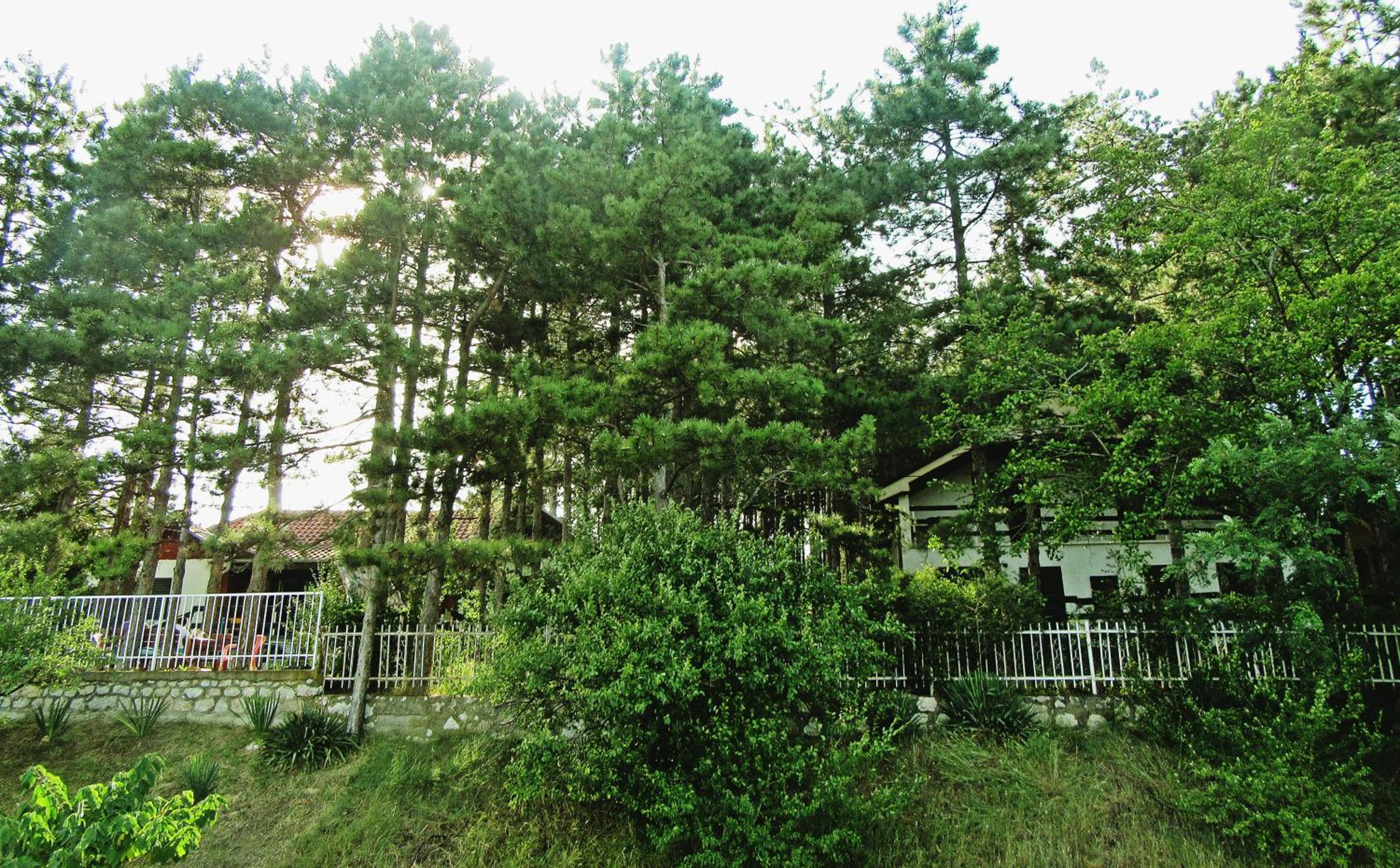 Photo 12