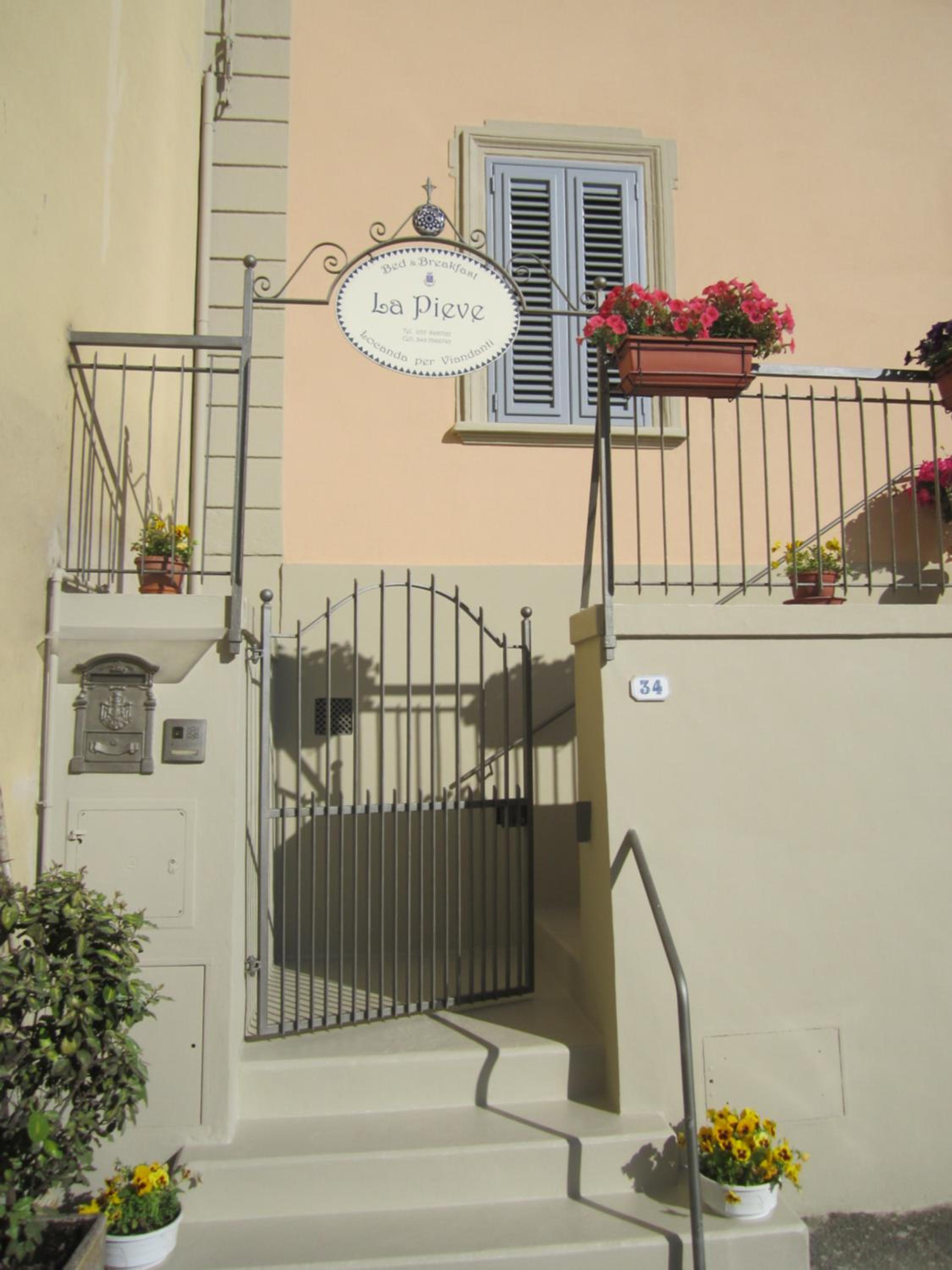 B&B 