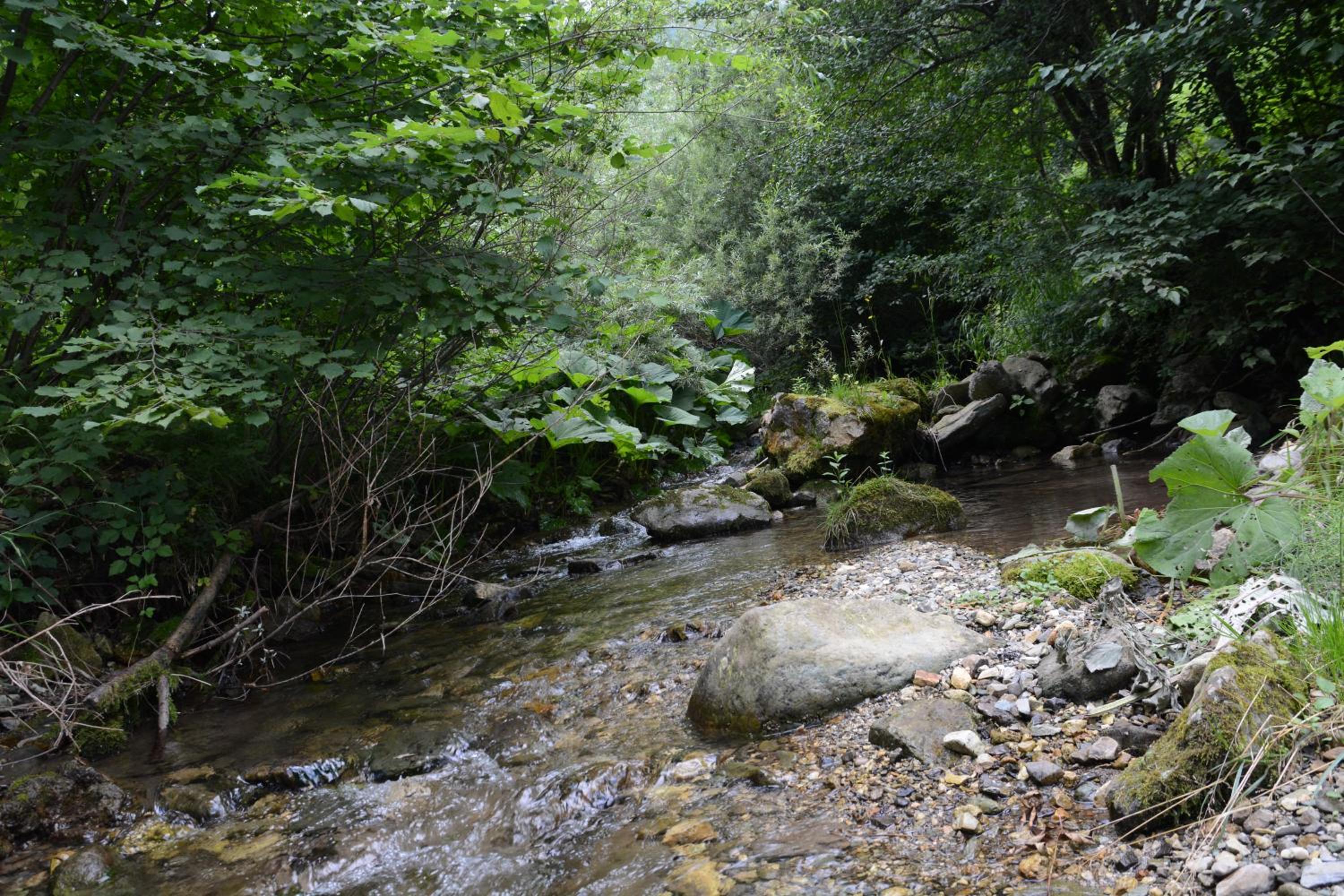 Photo 49