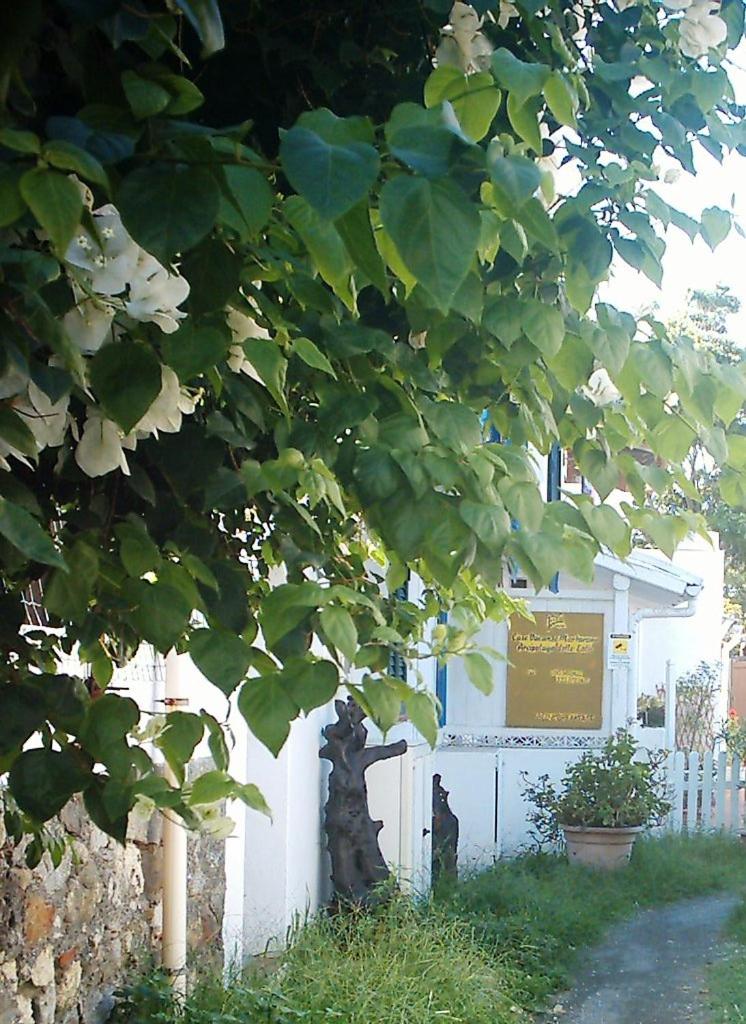 Photo 25