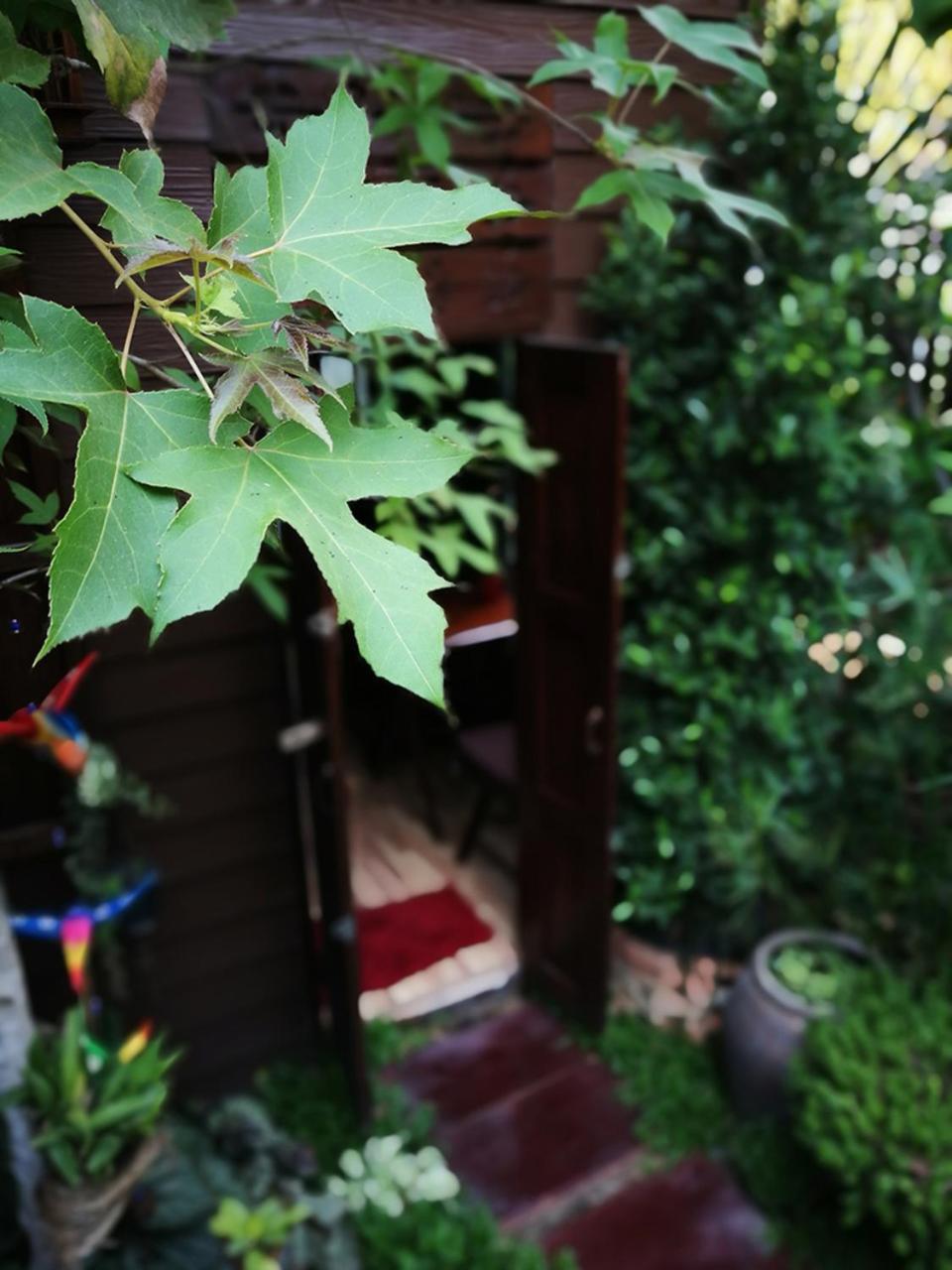 Photo 43