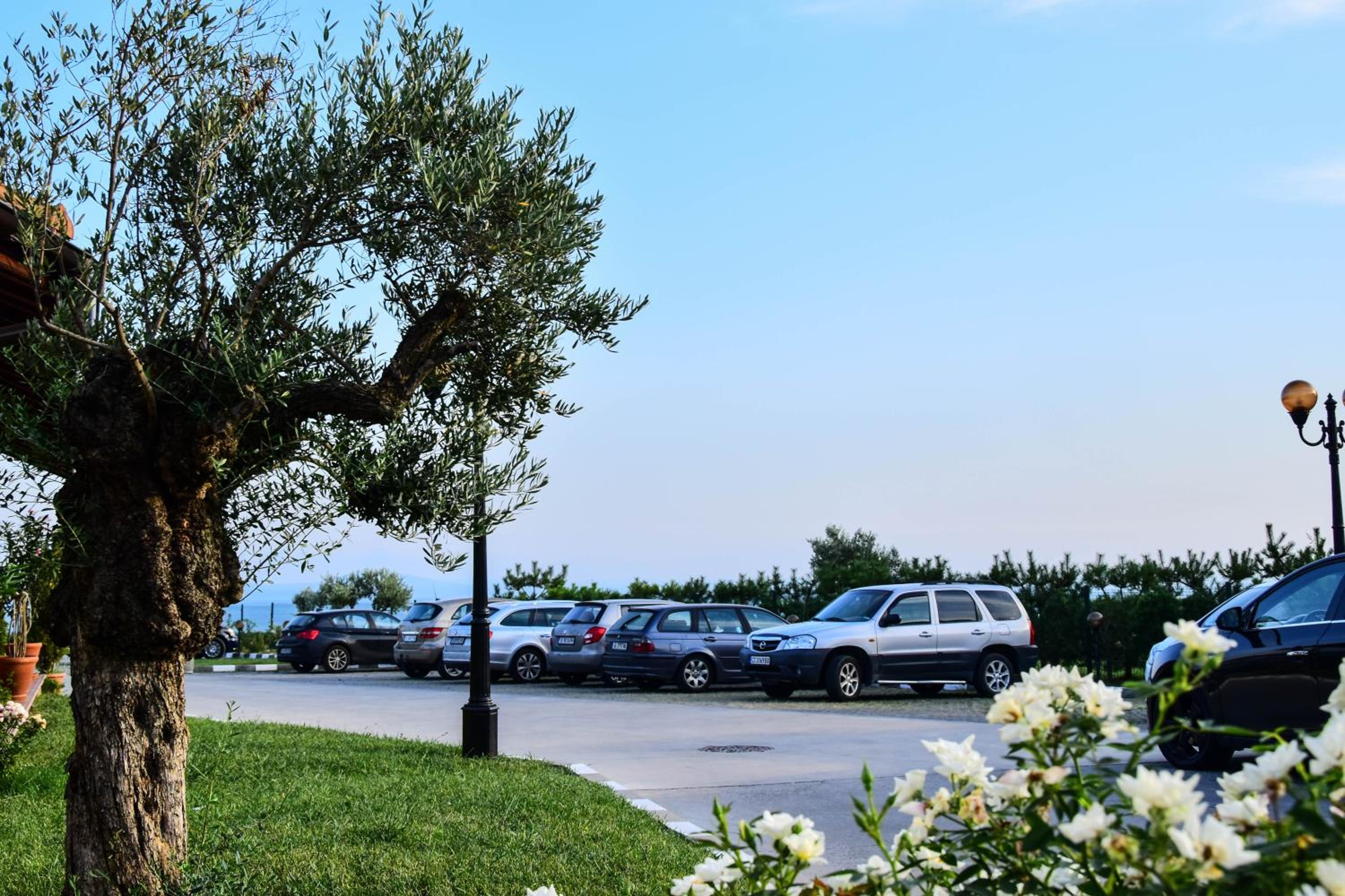 Sea Club Sarafovo Apartments