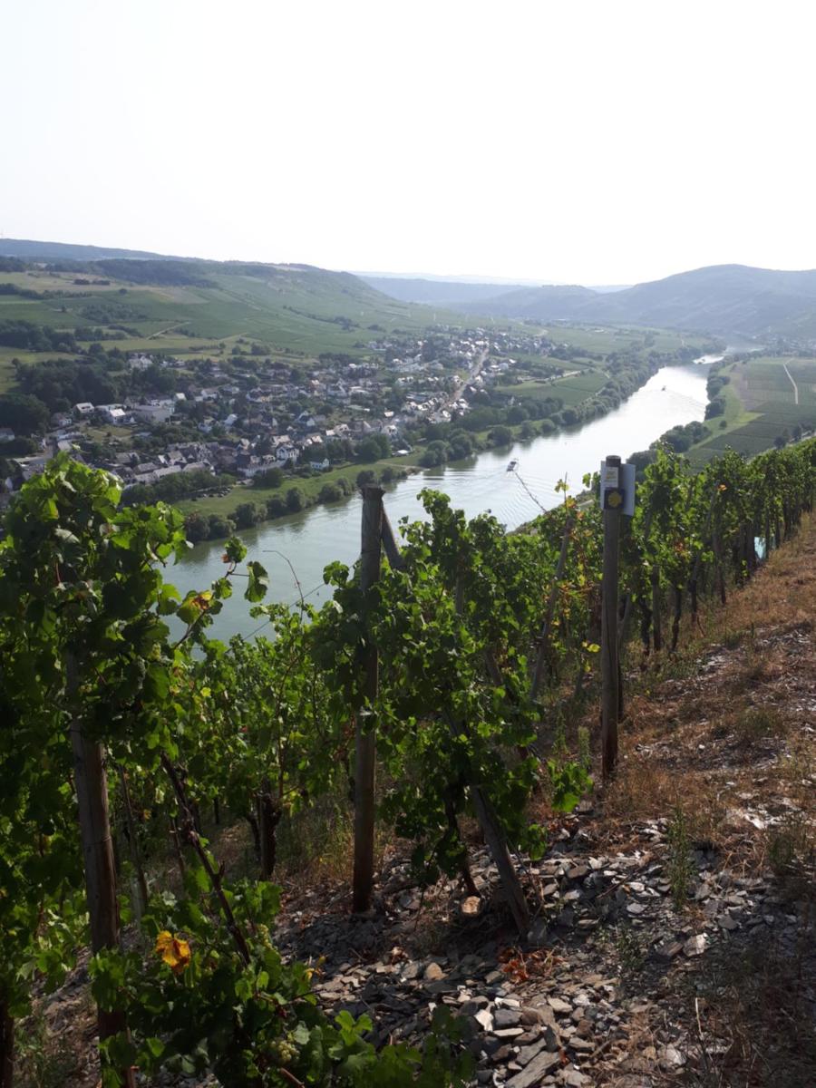 Gaestehaus Jufferpanorama