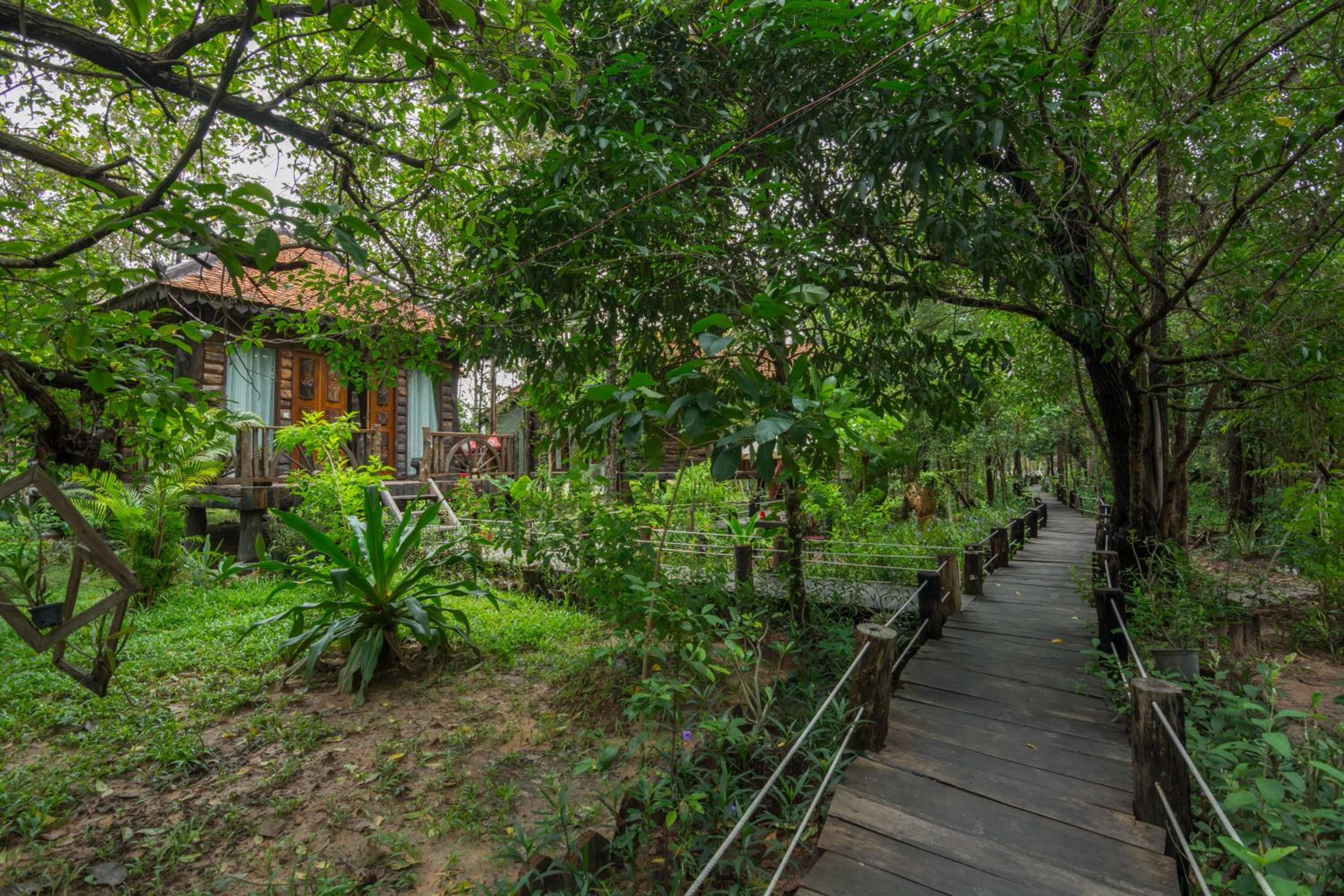 Bong Thom Forest Lodge