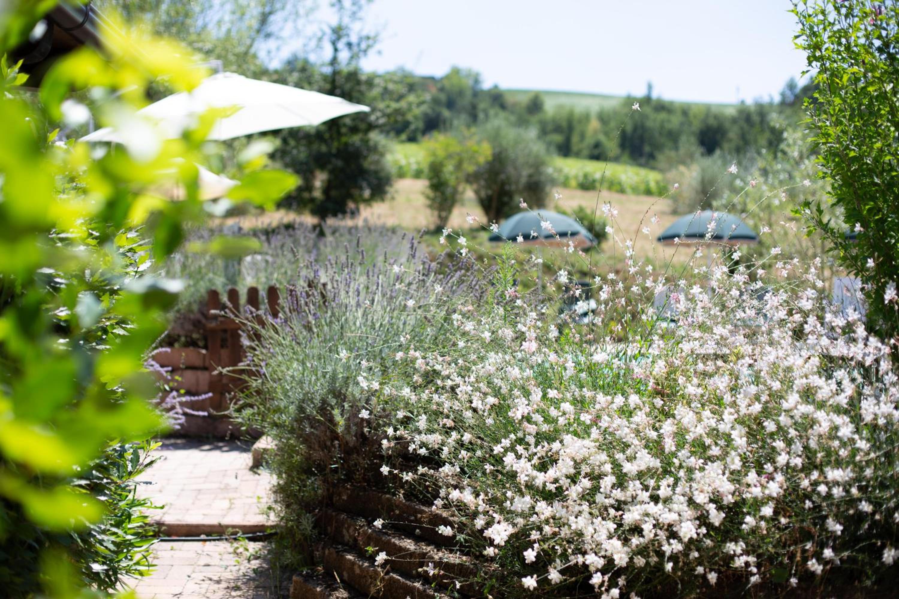 Country House Villa Sabrina