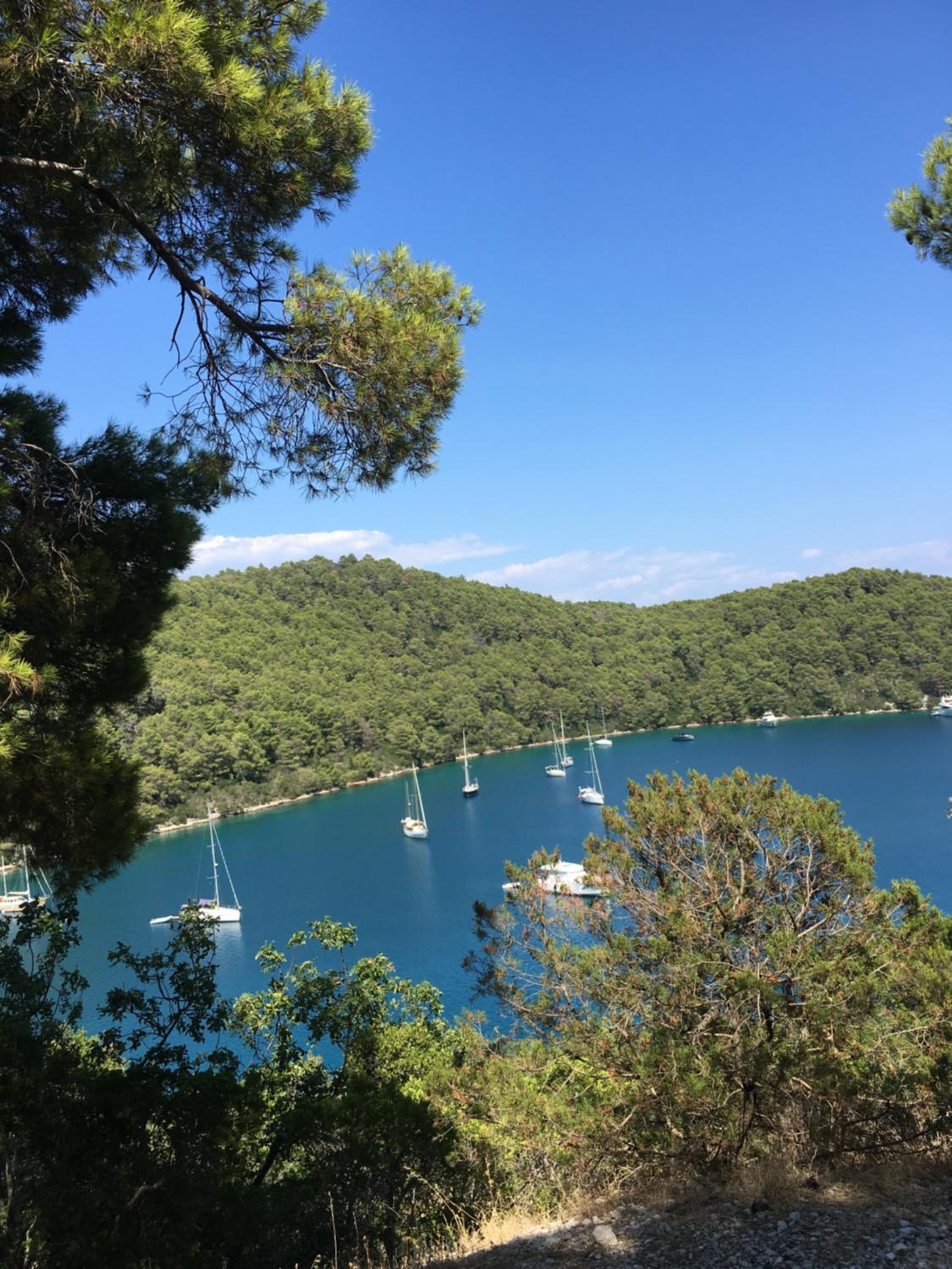 Villa Radulj view 5