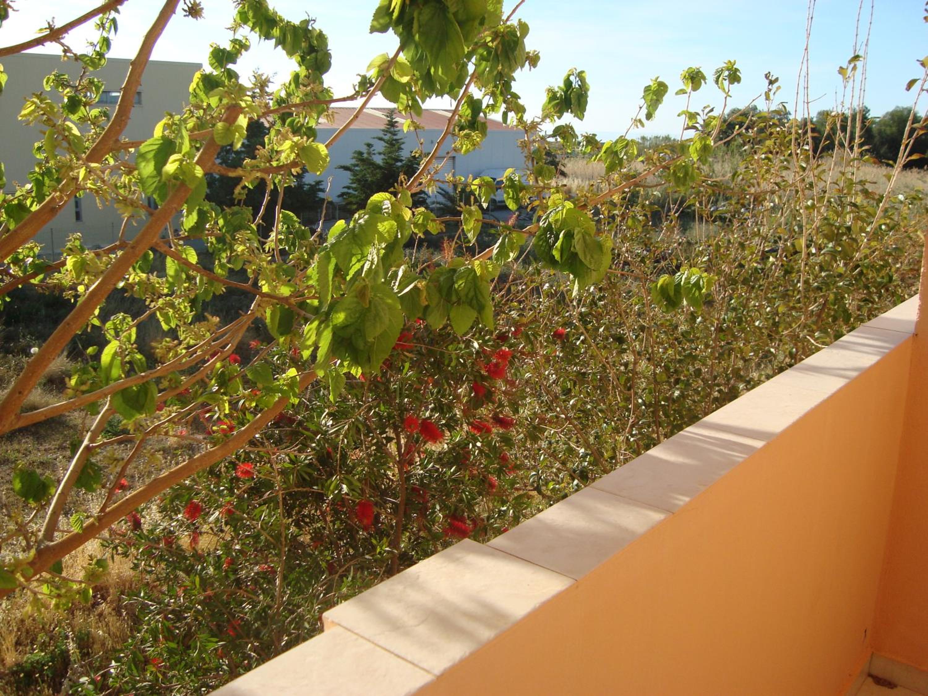 Athina