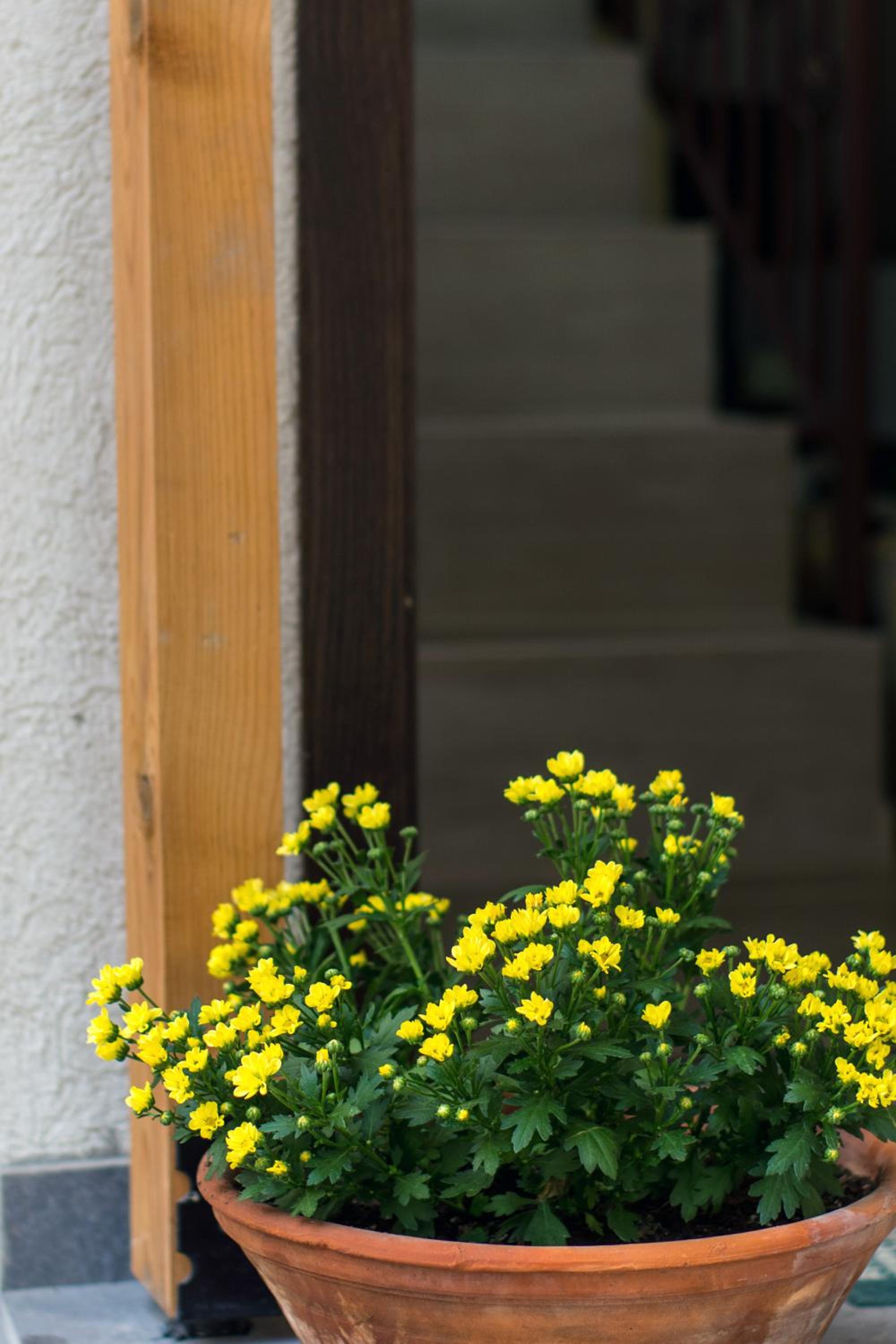 Sofia Family House - Free Parking
