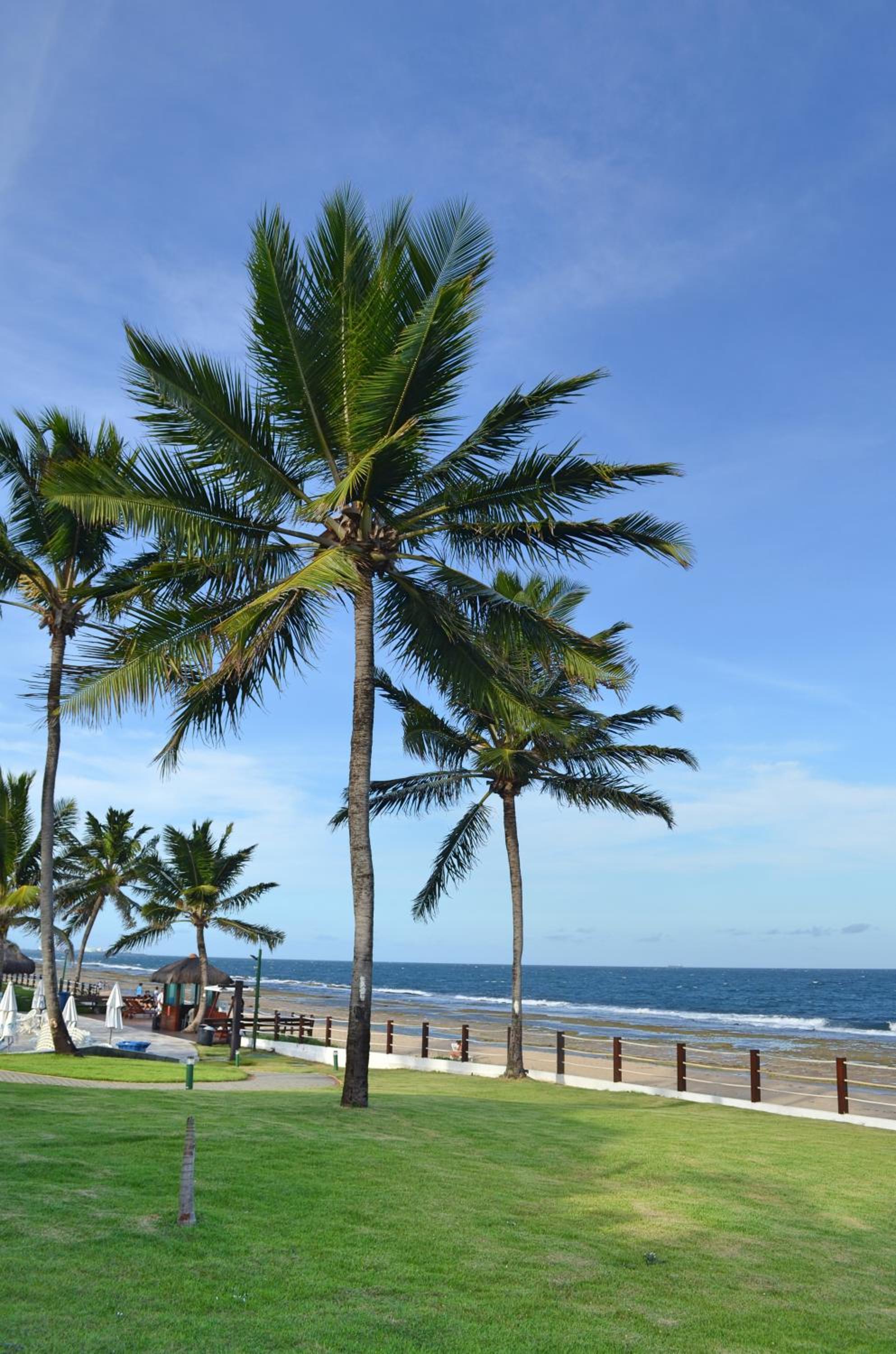 Bangalô Luxo Beach Class Resort Muro Alto