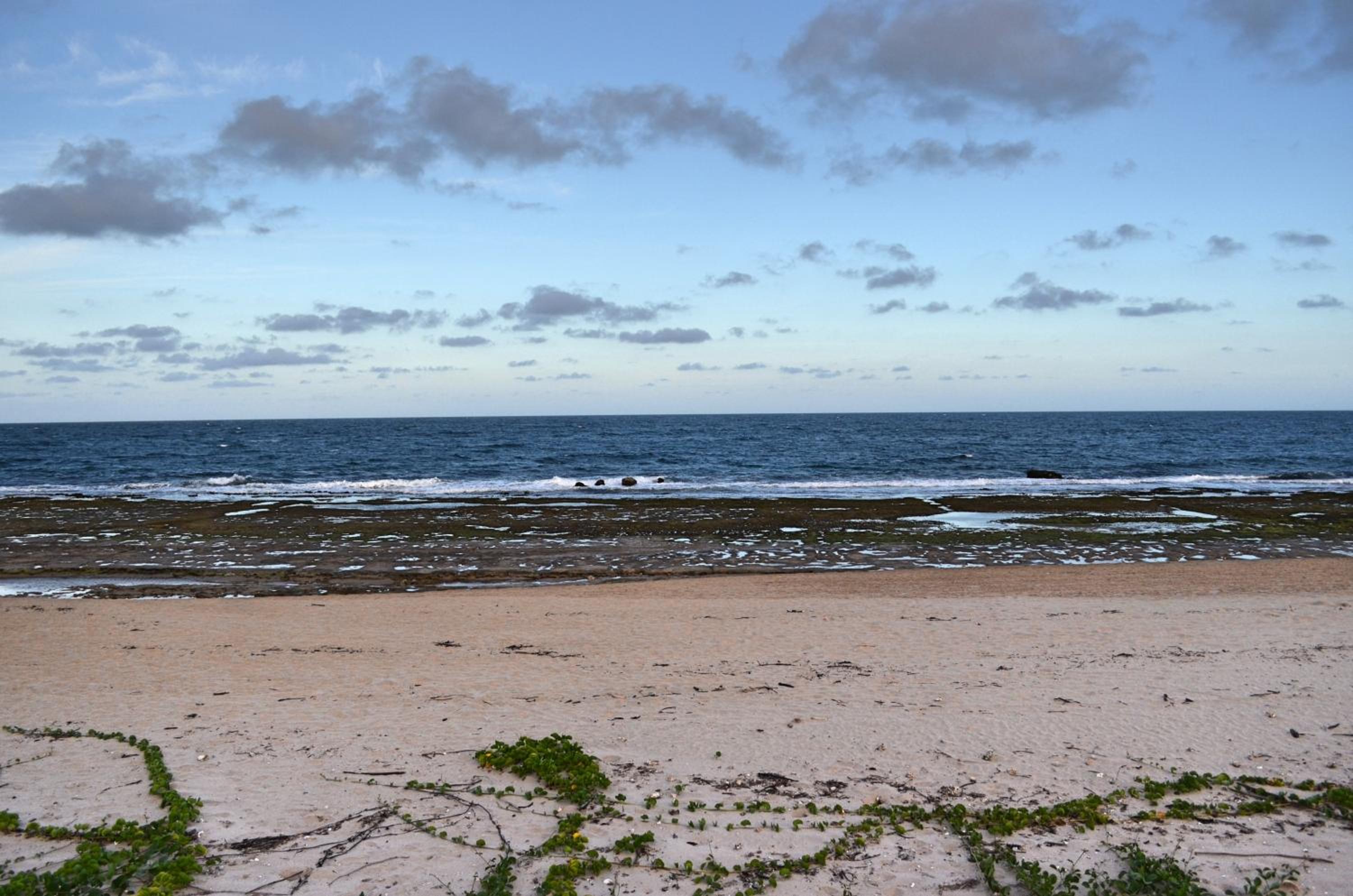 Bangalô Luxo Beach Class Resort Muro Alto