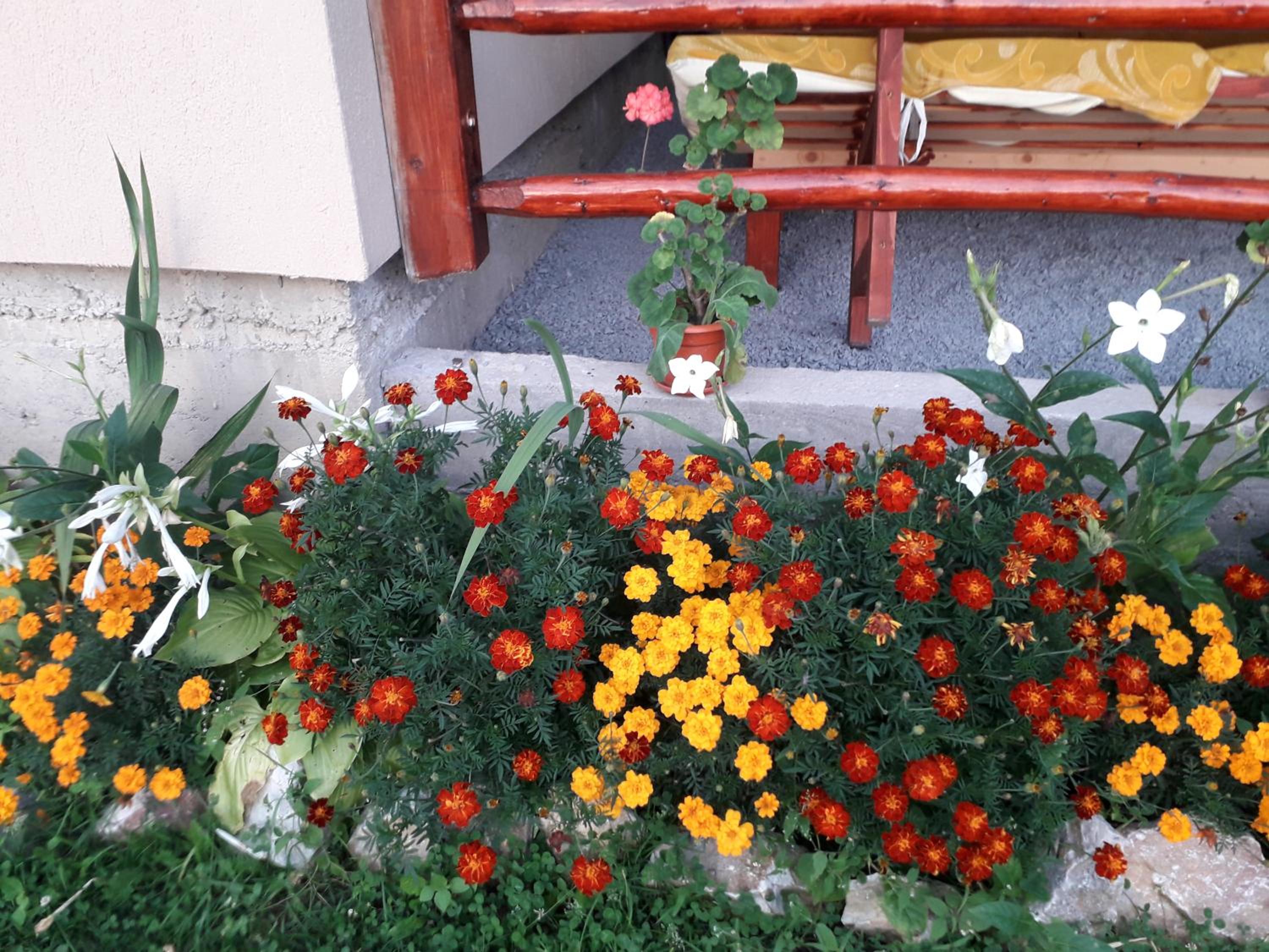 Photo 53
