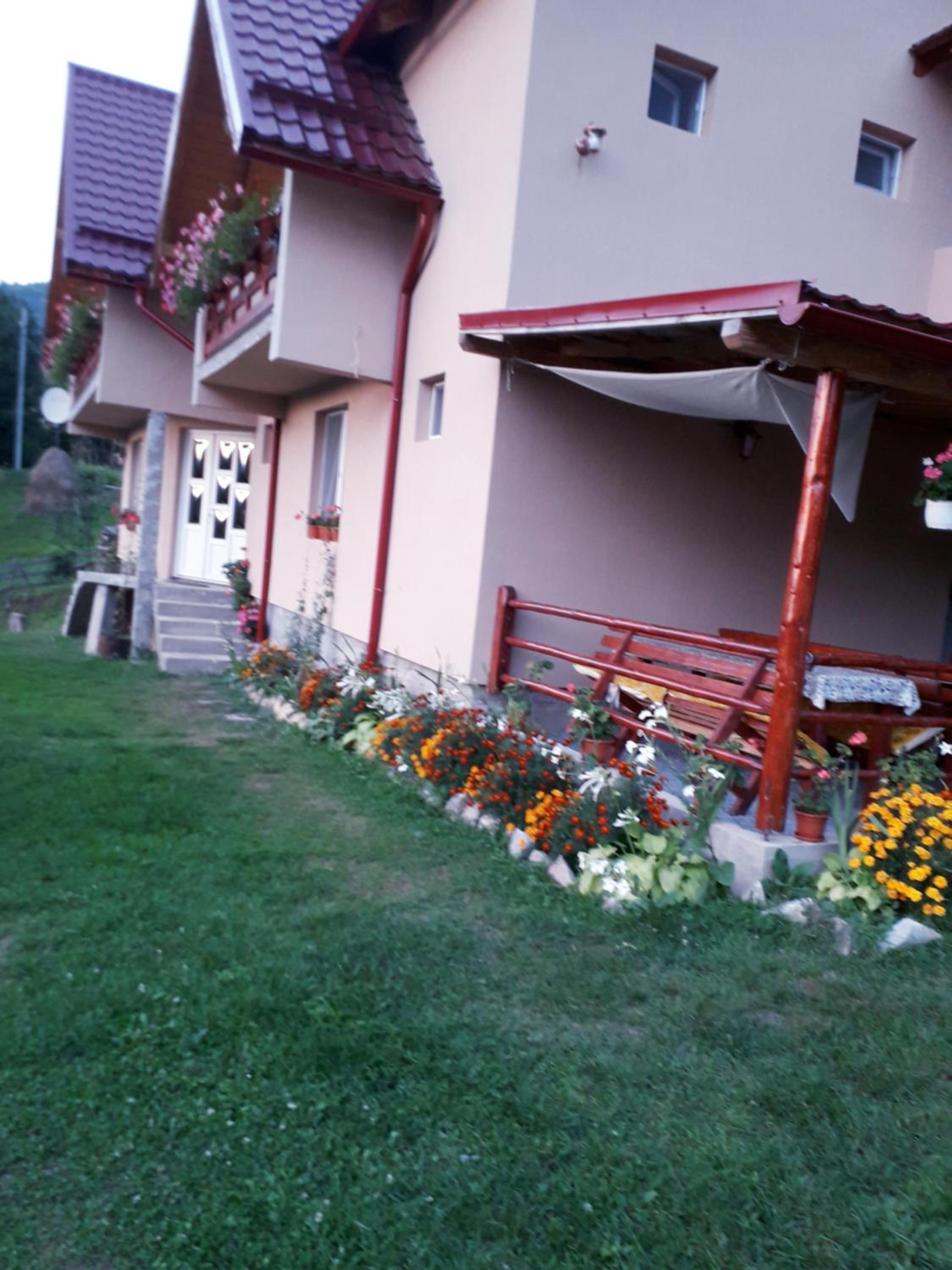 Photo 47