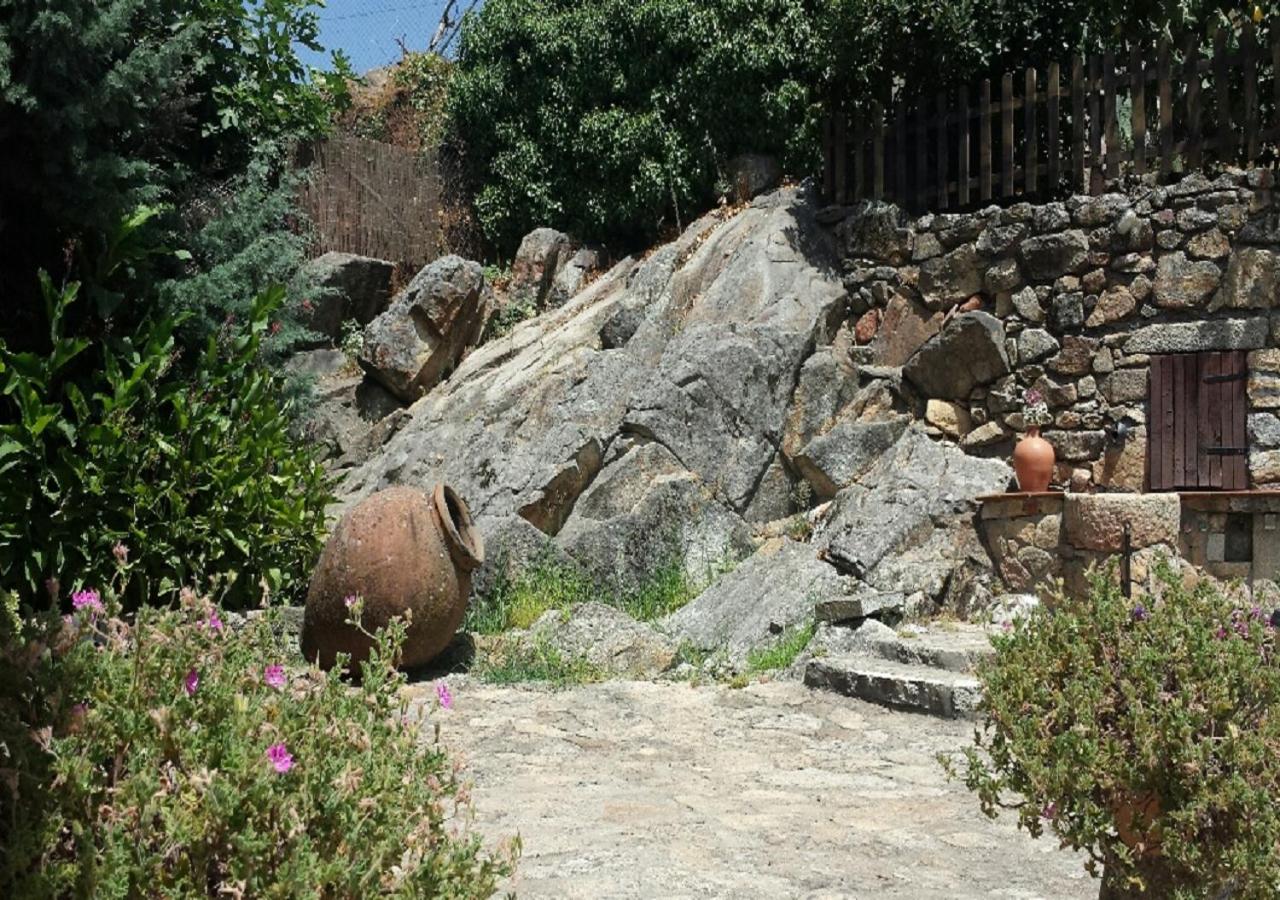 Photo 23