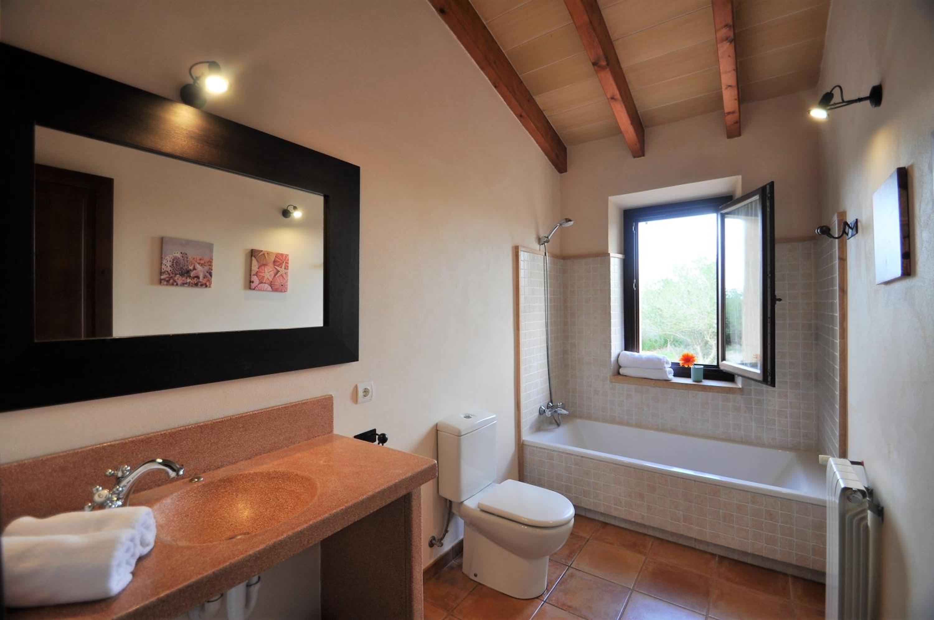 Finca Tiana view 5