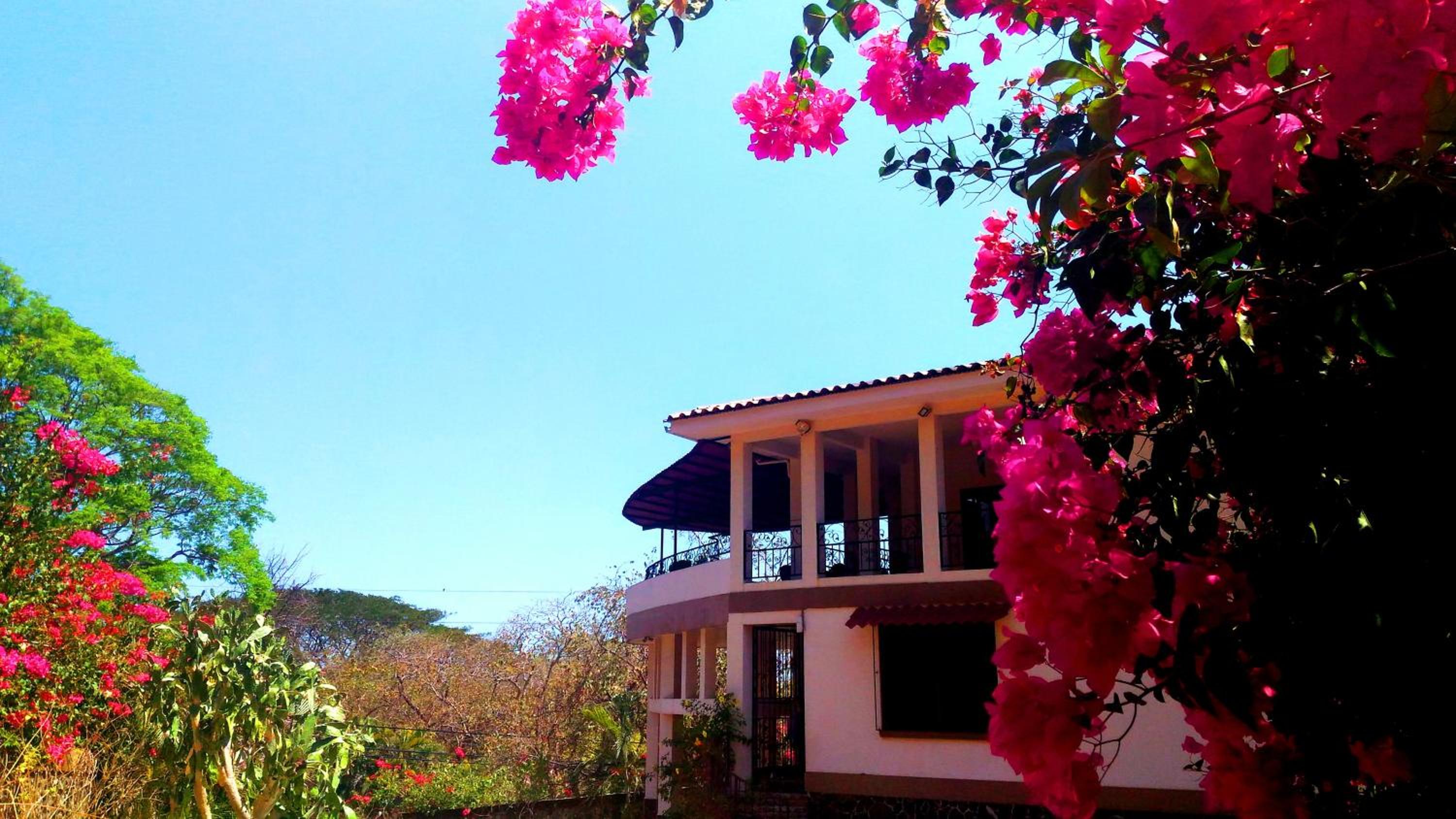 Casa La Guaria view 4