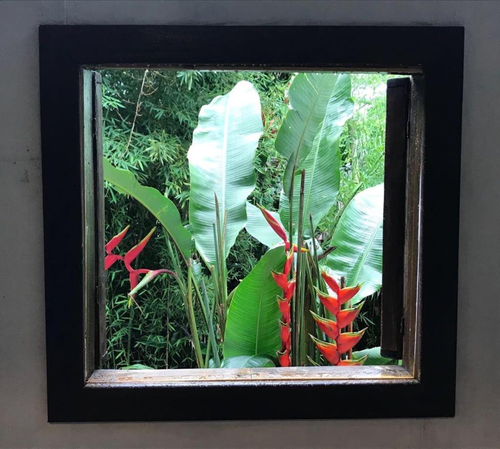 Pousada Rainforest House - Ilha Grande