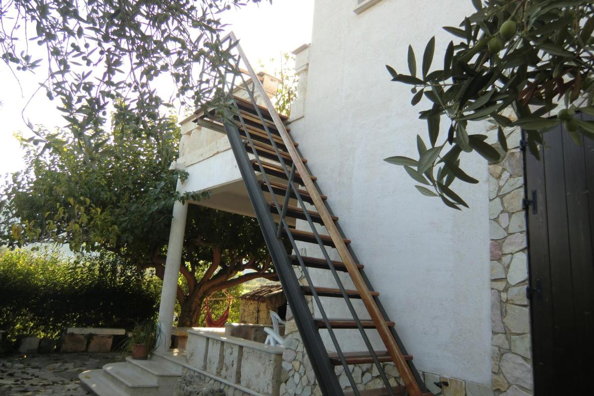 Photo 29