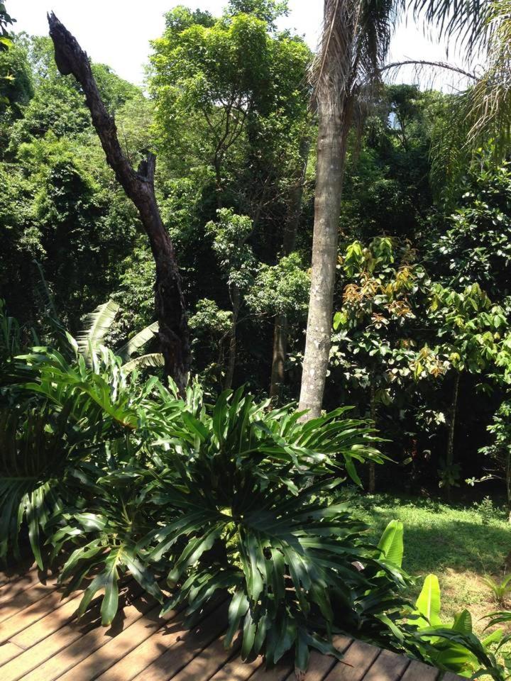 Pousada Rainforest House - Ilha Grande