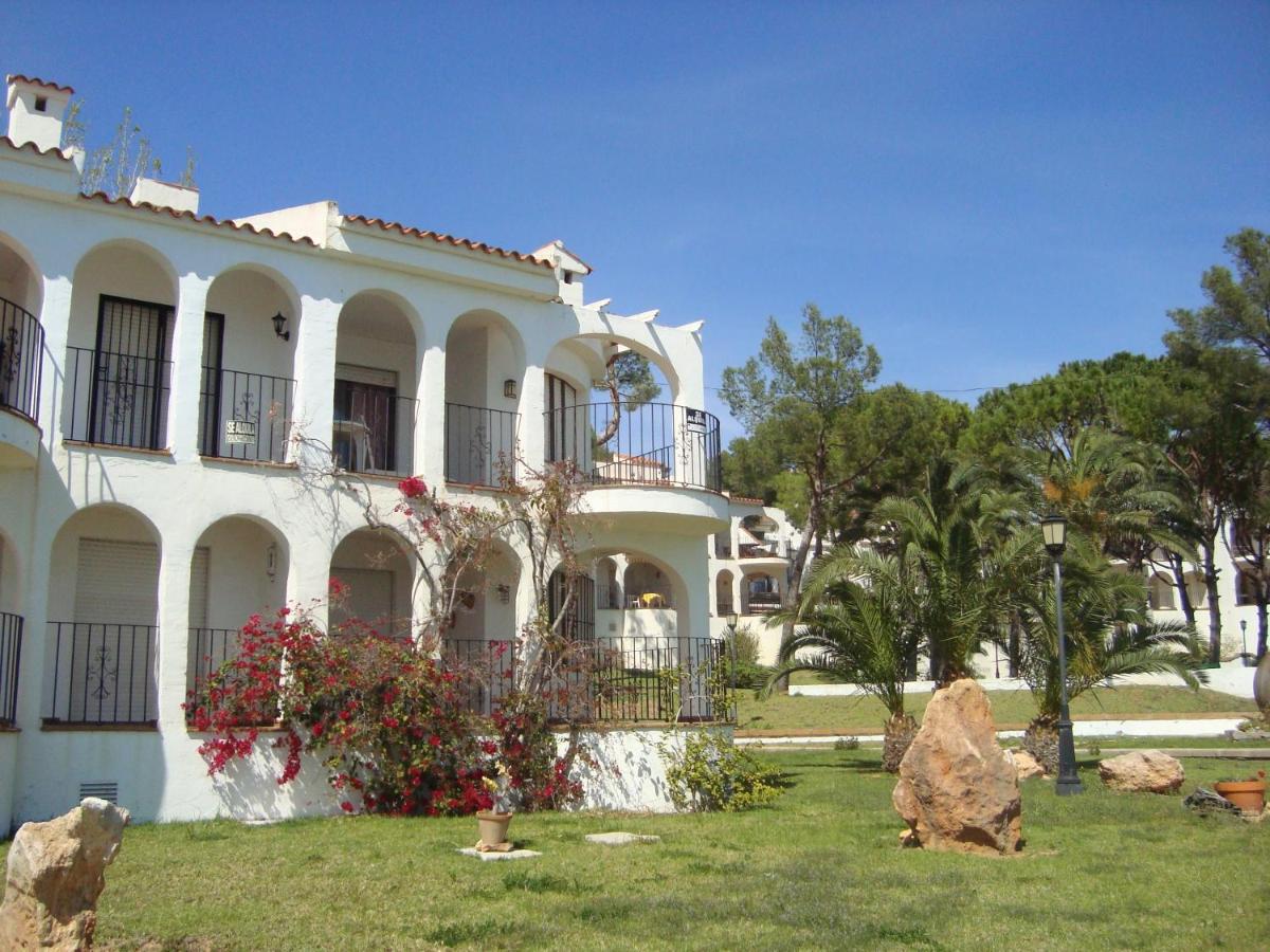 Alpen1 Residencial Finca del Moro view 5