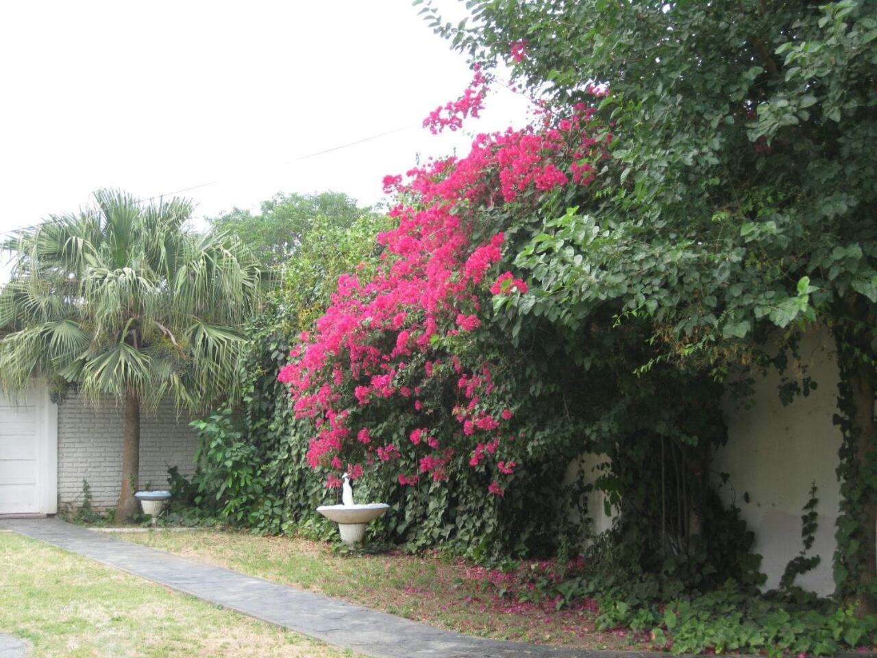 La Maison