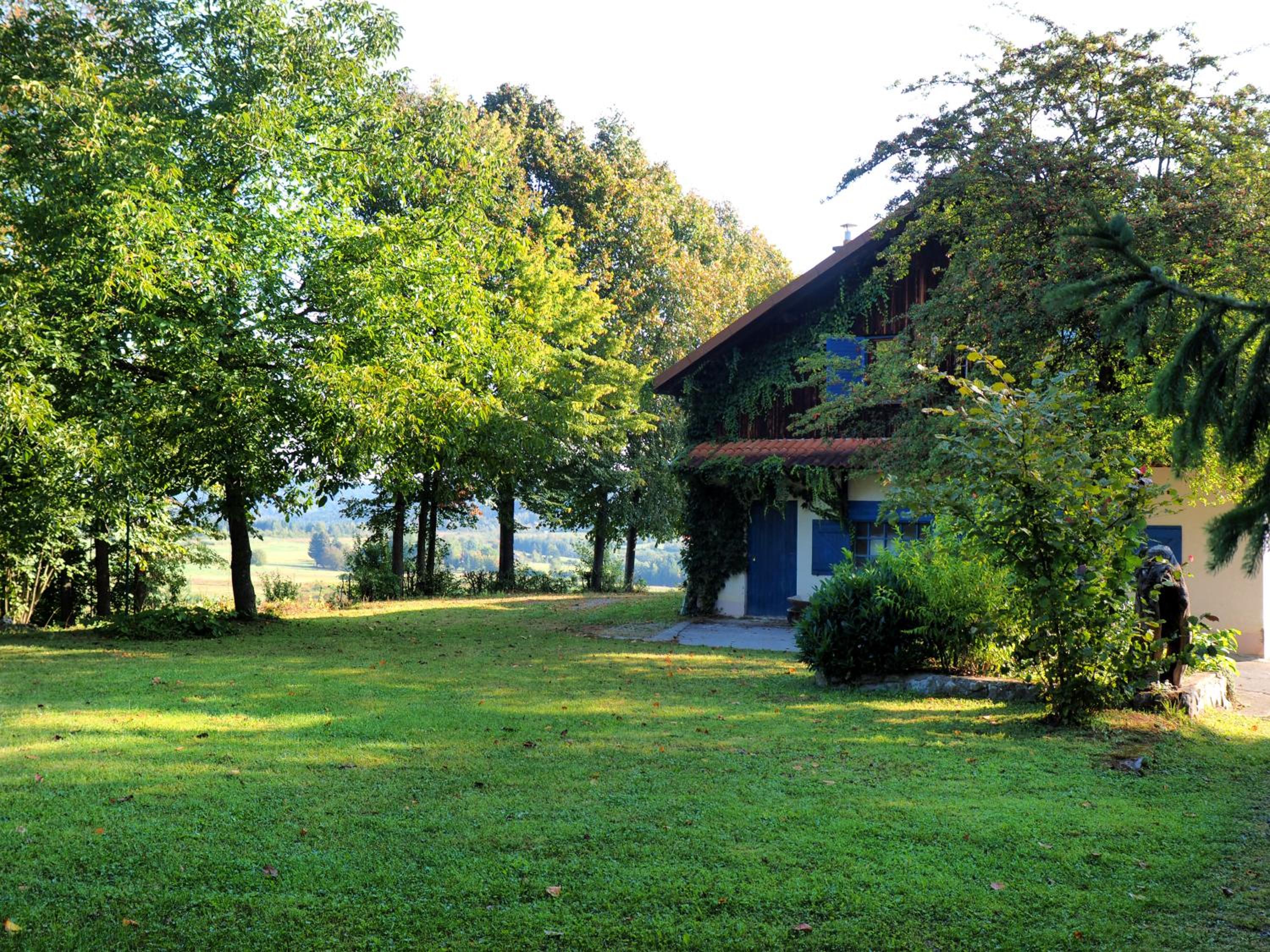 Photo 46