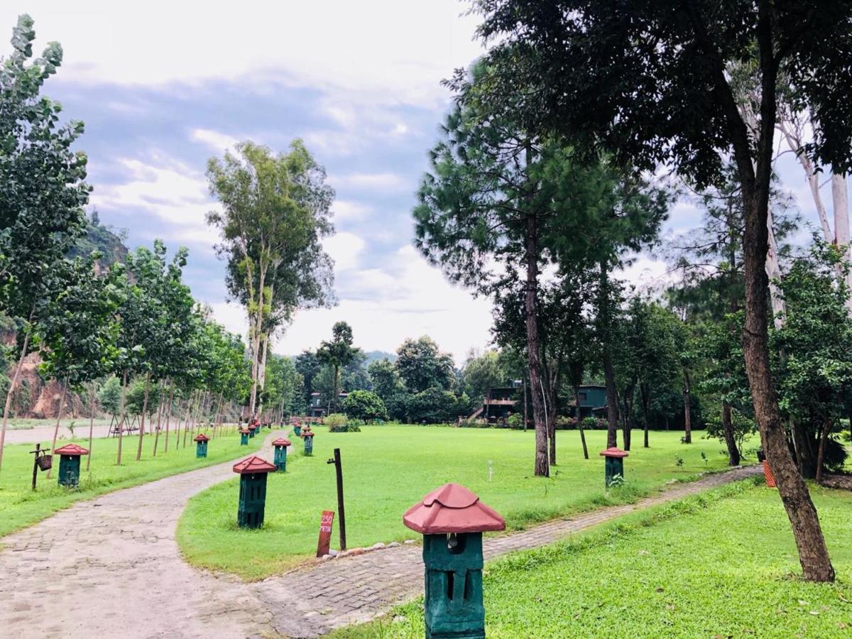 children's play area