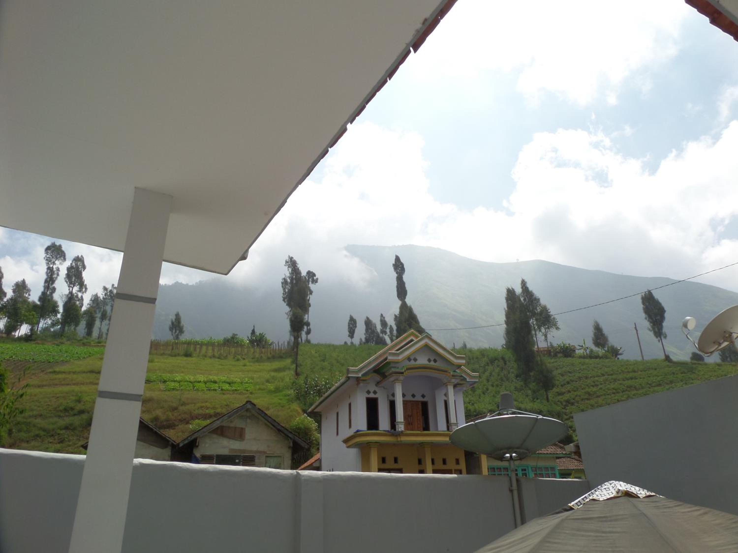 Savana Guesthouse