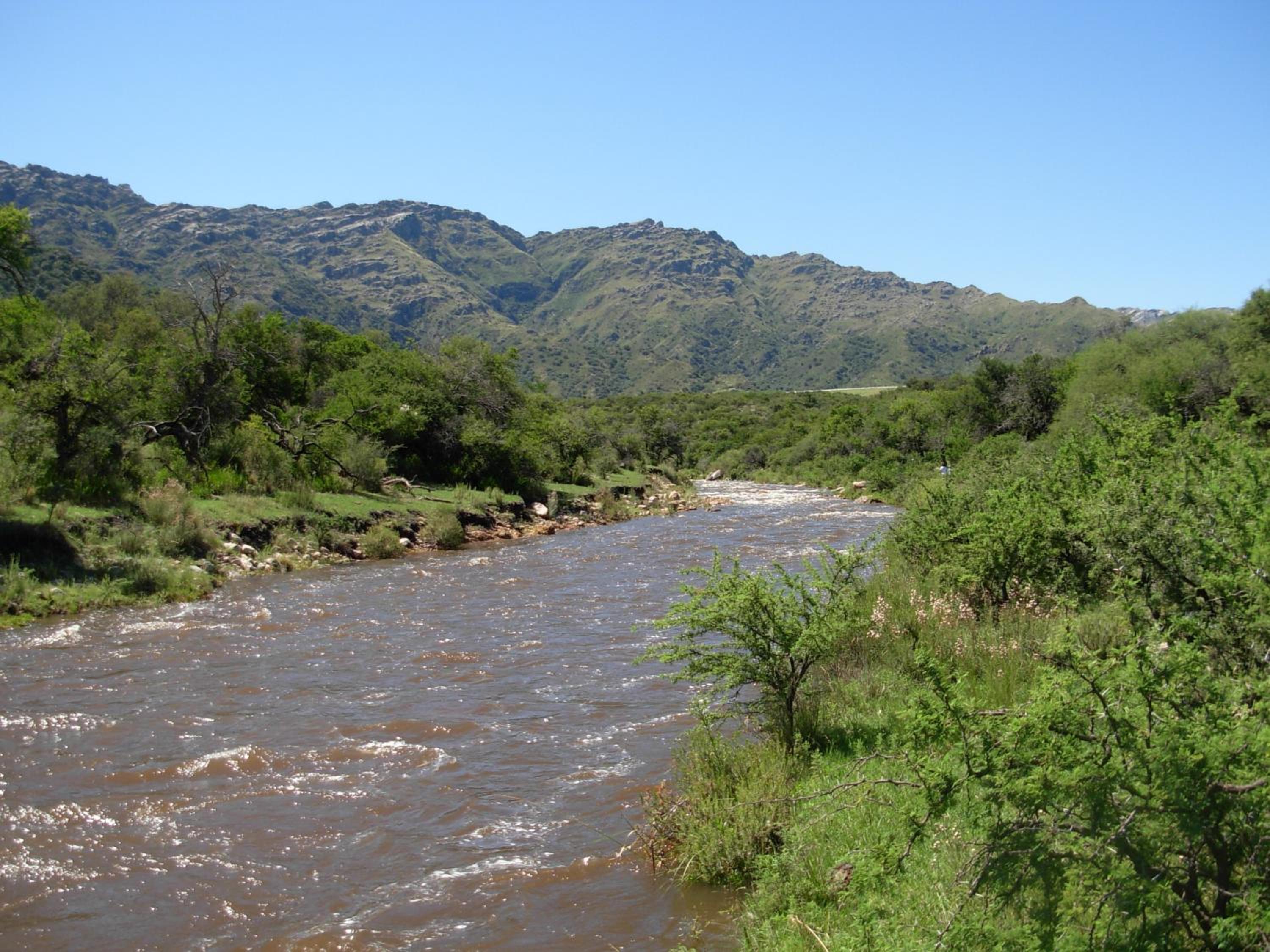 Complejo Arlington Village