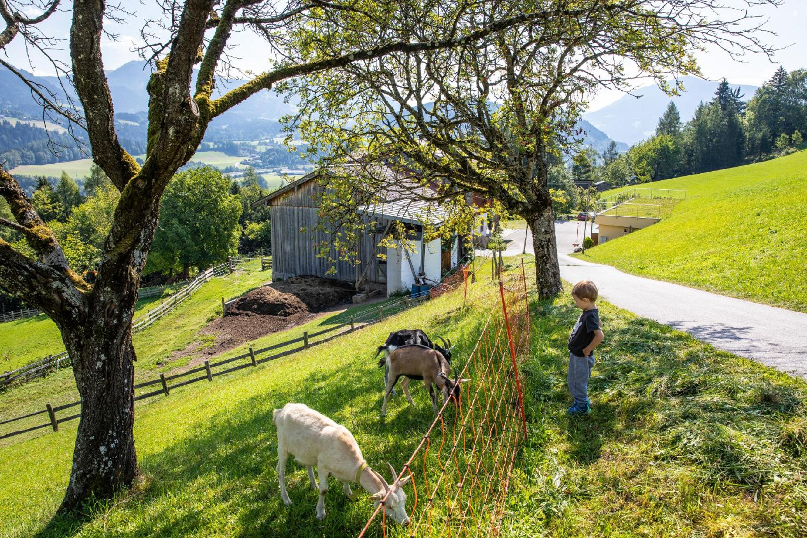 Unterschwabegghof