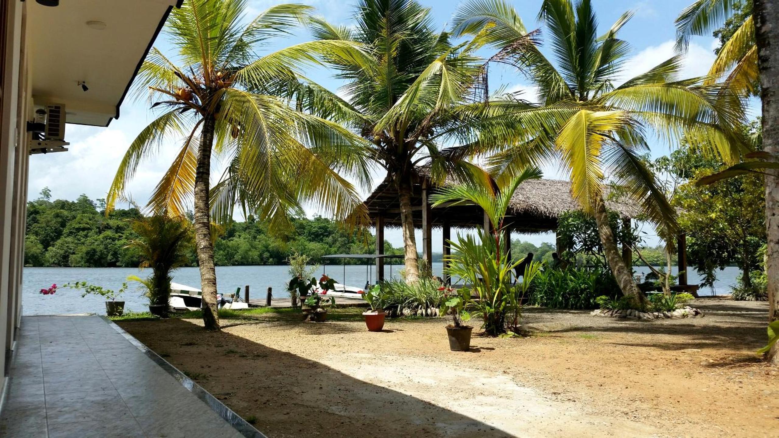 Photo 47