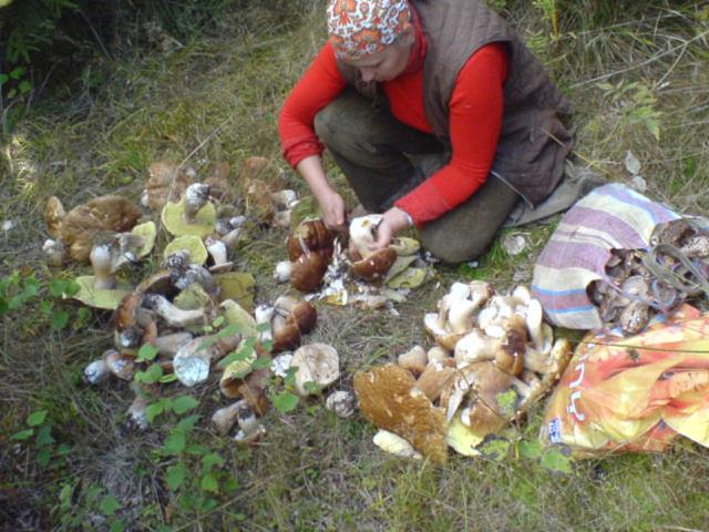 Аня Рома, photo 58