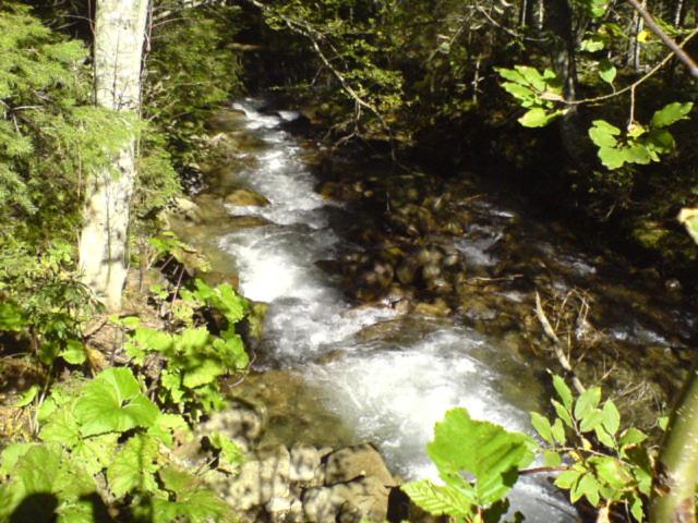 Аня Рома, photo 51