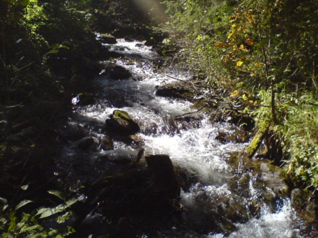 Аня Рома, photo 96